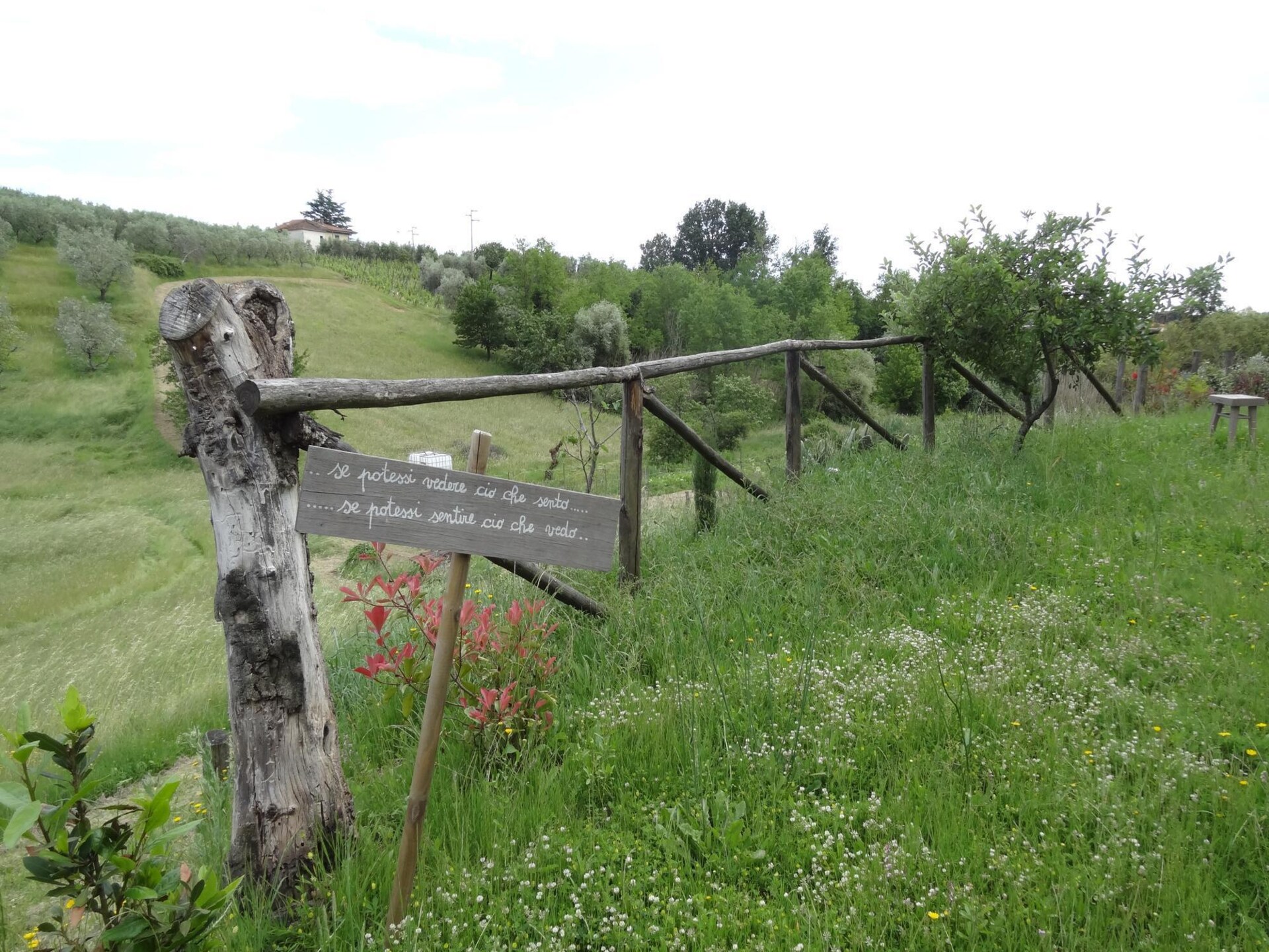 Authentiek Toscaans vakantiehuis met privézwembad nabij Vinci - foto 24