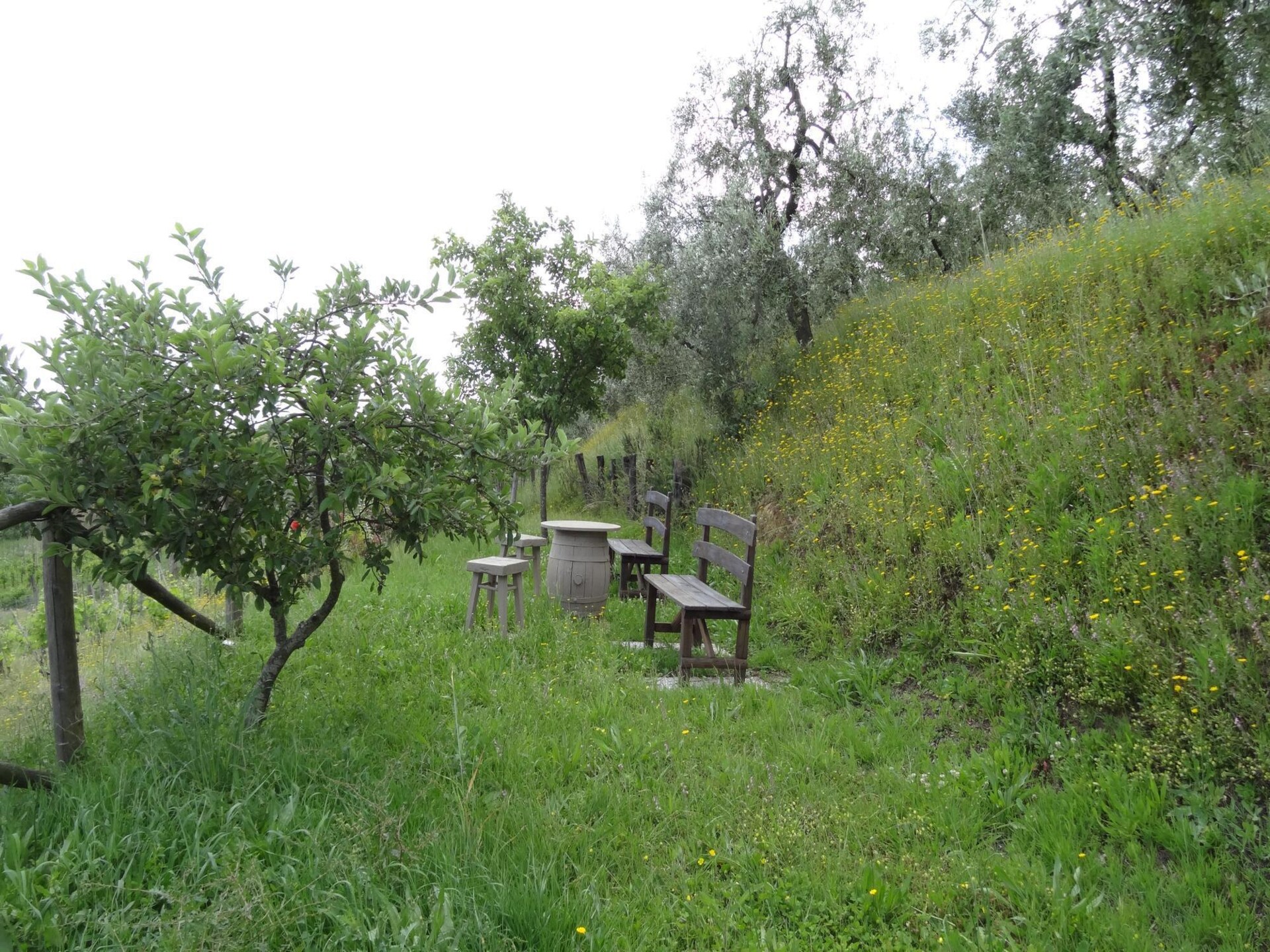 Authentiek Toscaans vakantiehuis met privézwembad nabij Vinci - foto 31