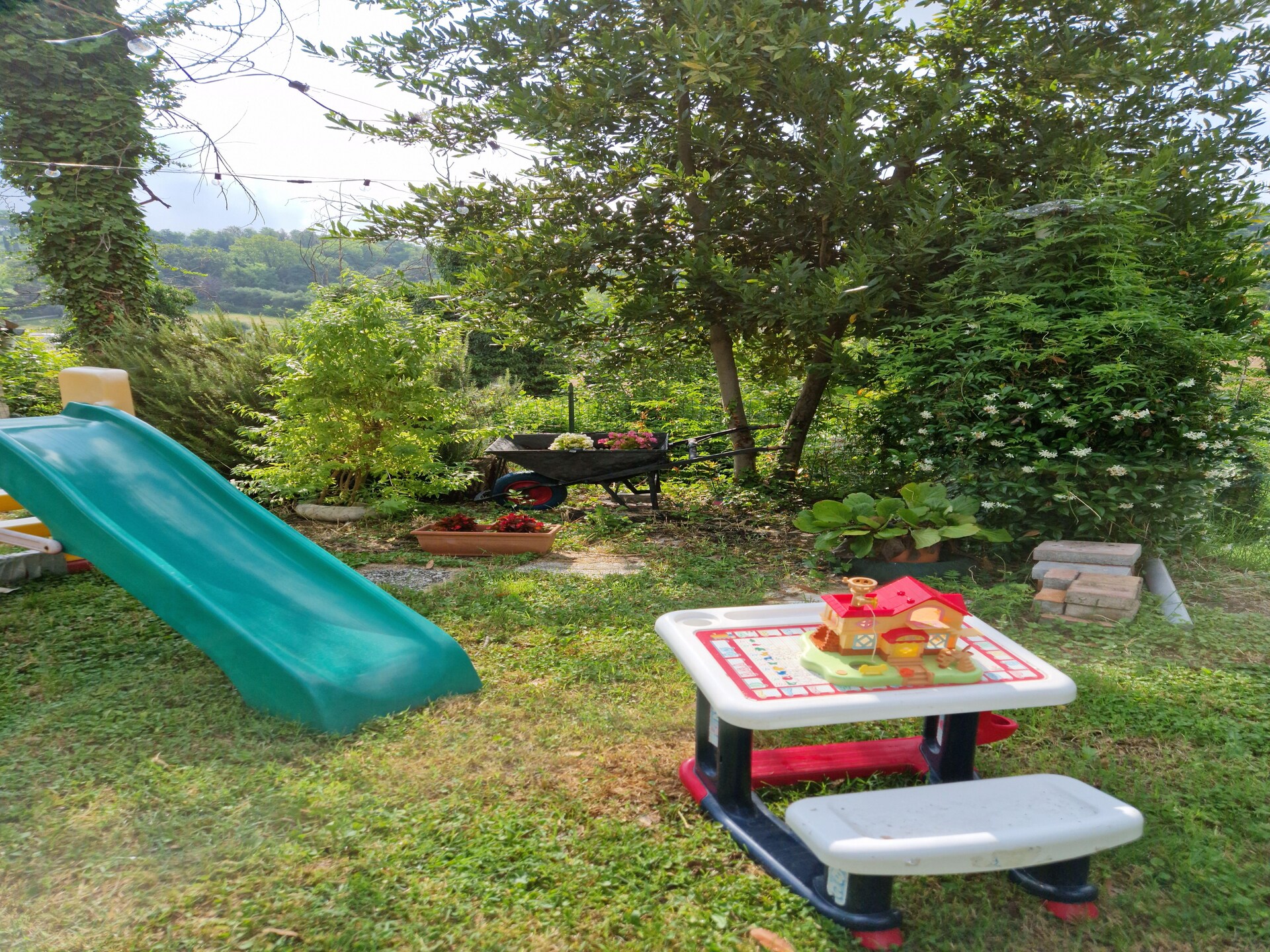 Vakantiehuis met privézwembad tussen de olijfbomen bij Montemaggiore - foto 22