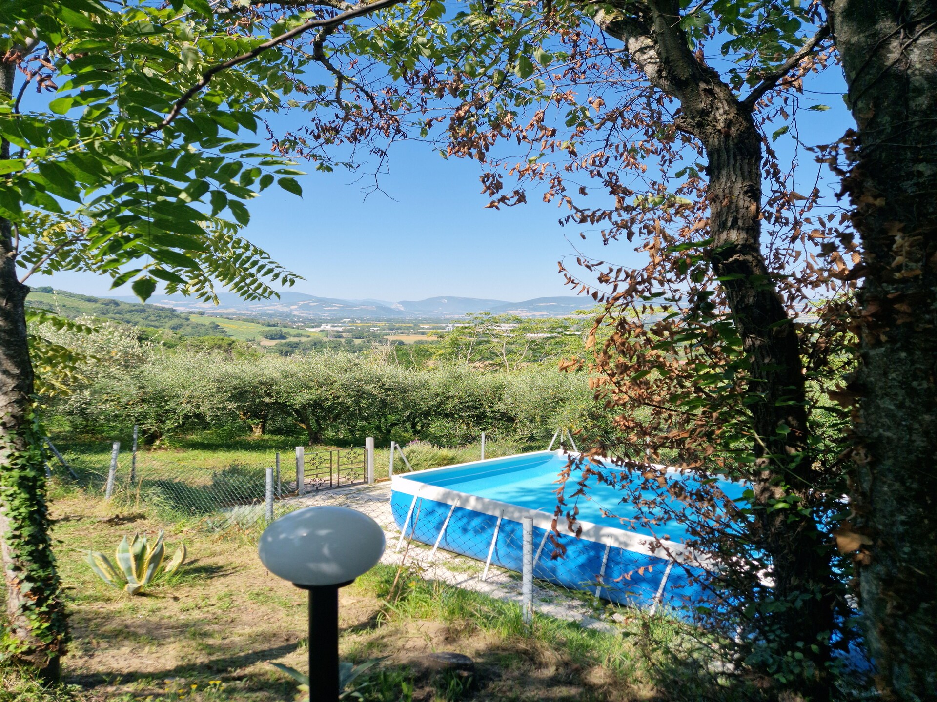 Vakantiehuis met privézwembad tussen de olijfbomen bij Montemaggiore - foto 14