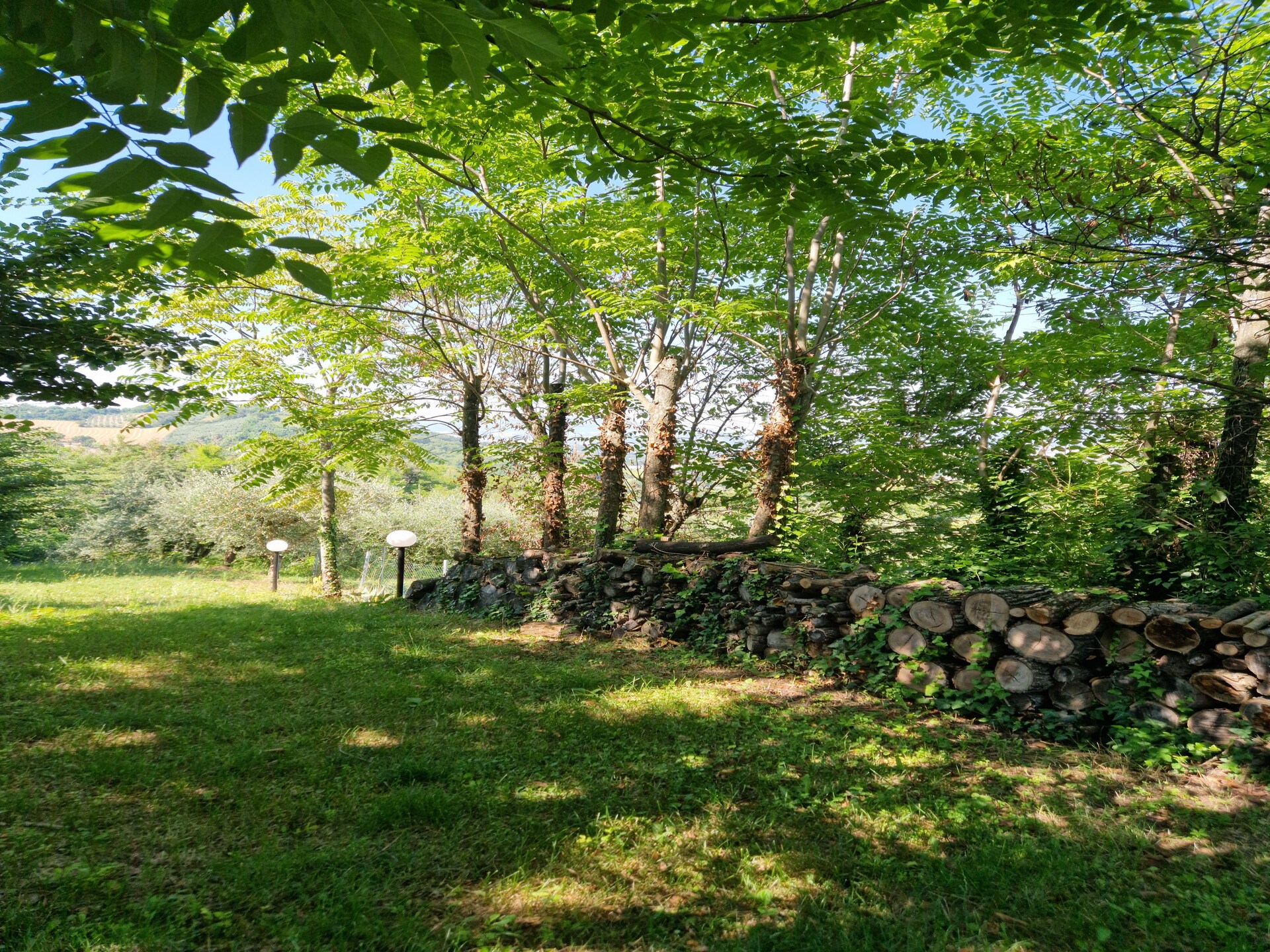Vakantiehuis met privézwembad tussen de olijfbomen bij Montemaggiore - foto 20