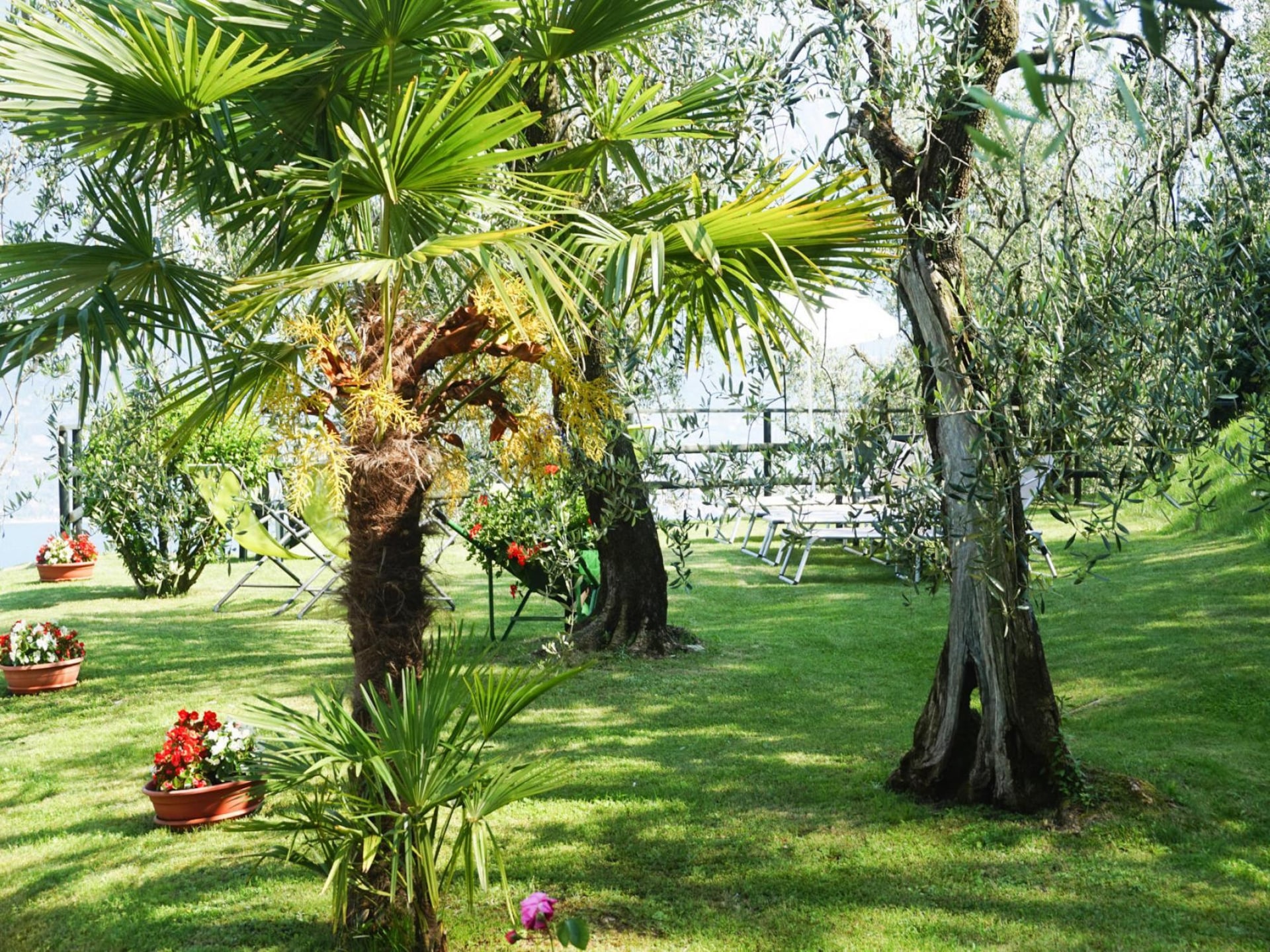 Romantisch appartement met meerzicht in Limone sul Garda - foto 3