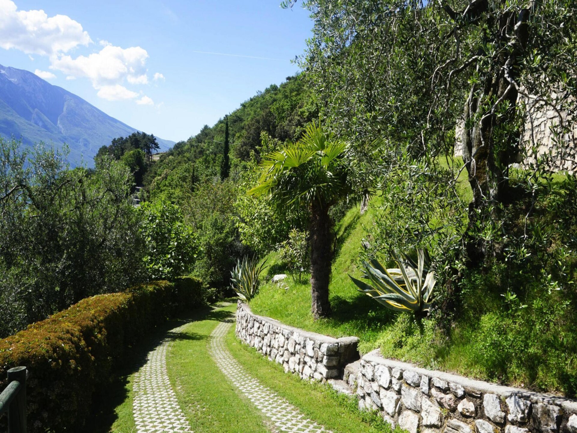 Romantisch appartement met meerzicht in Limone sul Garda - foto 28