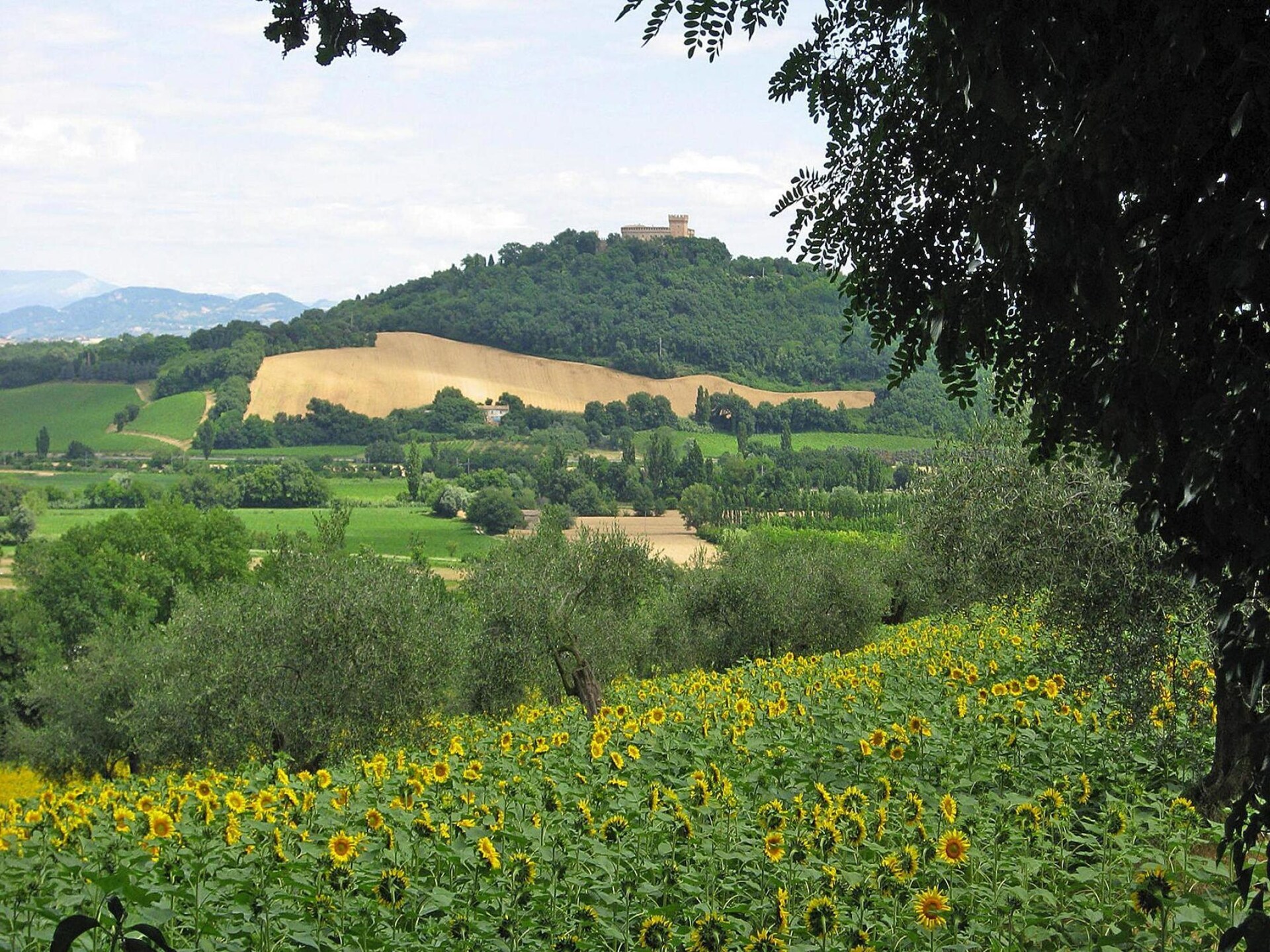 Op 1,0 km van zee: Rustiek appartement in Gabicce Mare - foto 14