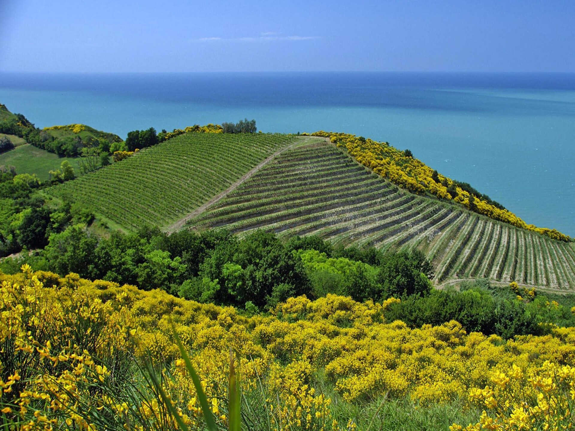 4-persoons appartement in Gabicce Mare bij Casa Mare Vallugola - foto 28