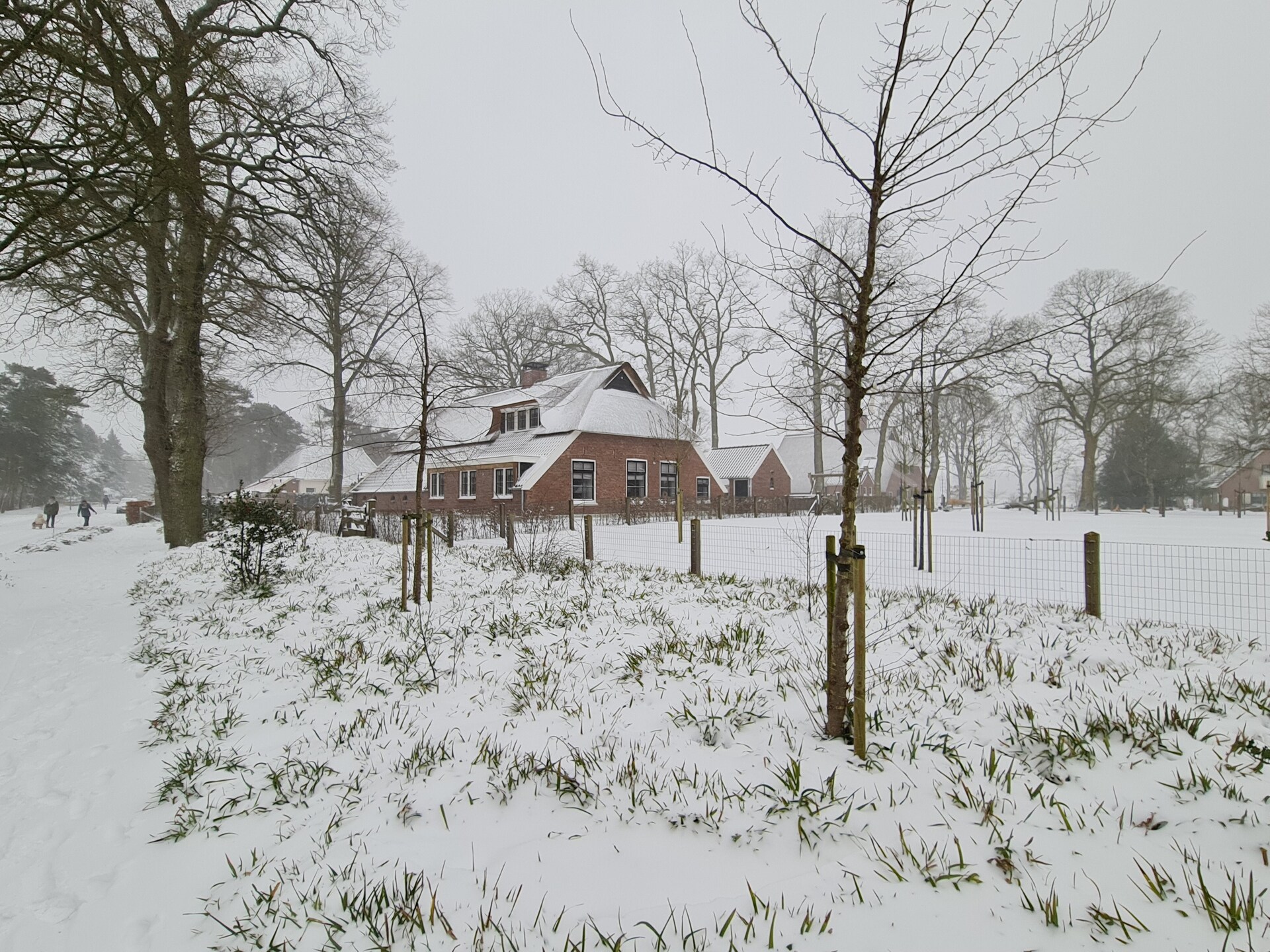 Luxe boerderijvakantiehuis Erve Olde Sasbrink, 8 pers, Sallandse Heuvelrug - foto 39