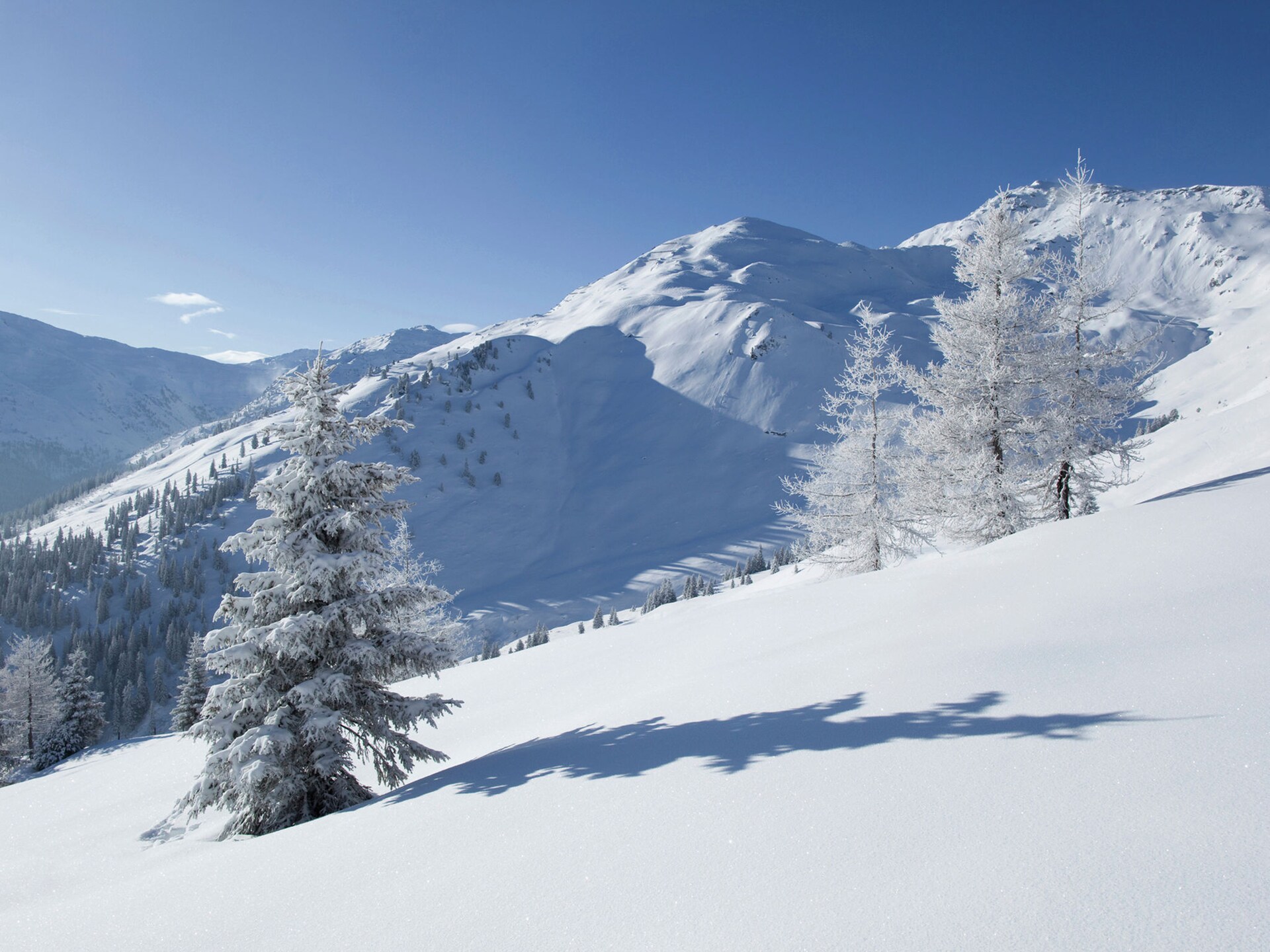 4-persoons appartement in Zell am Ziller op 300m van de piste - foto 30