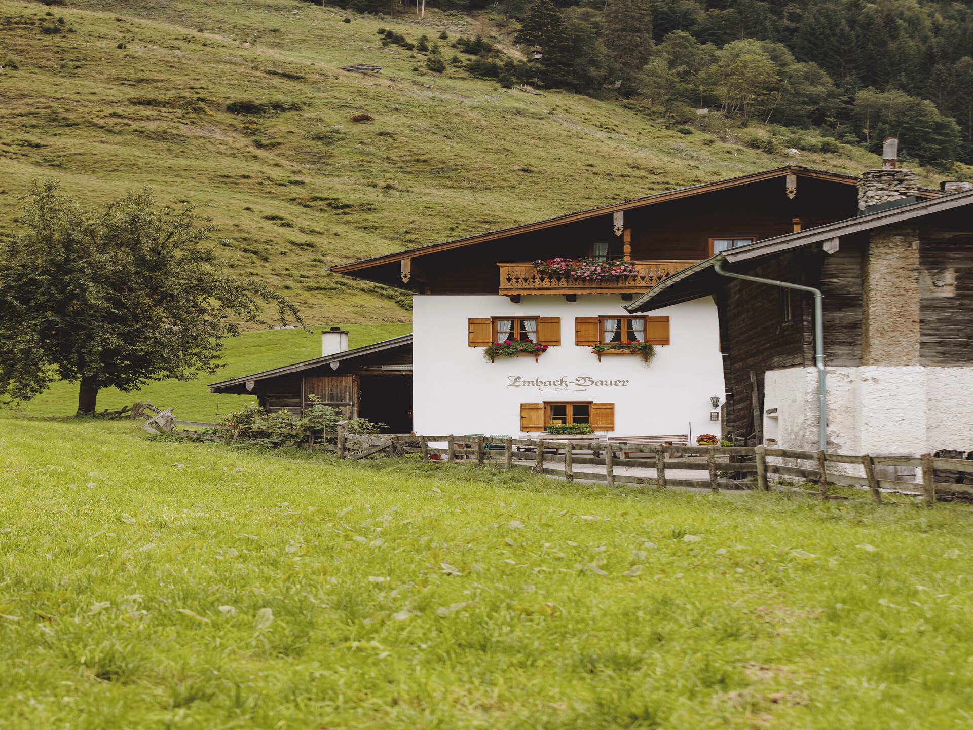 Rustiek appartement aan de golfbaan met uitzicht op de Grossglockner - foto 12