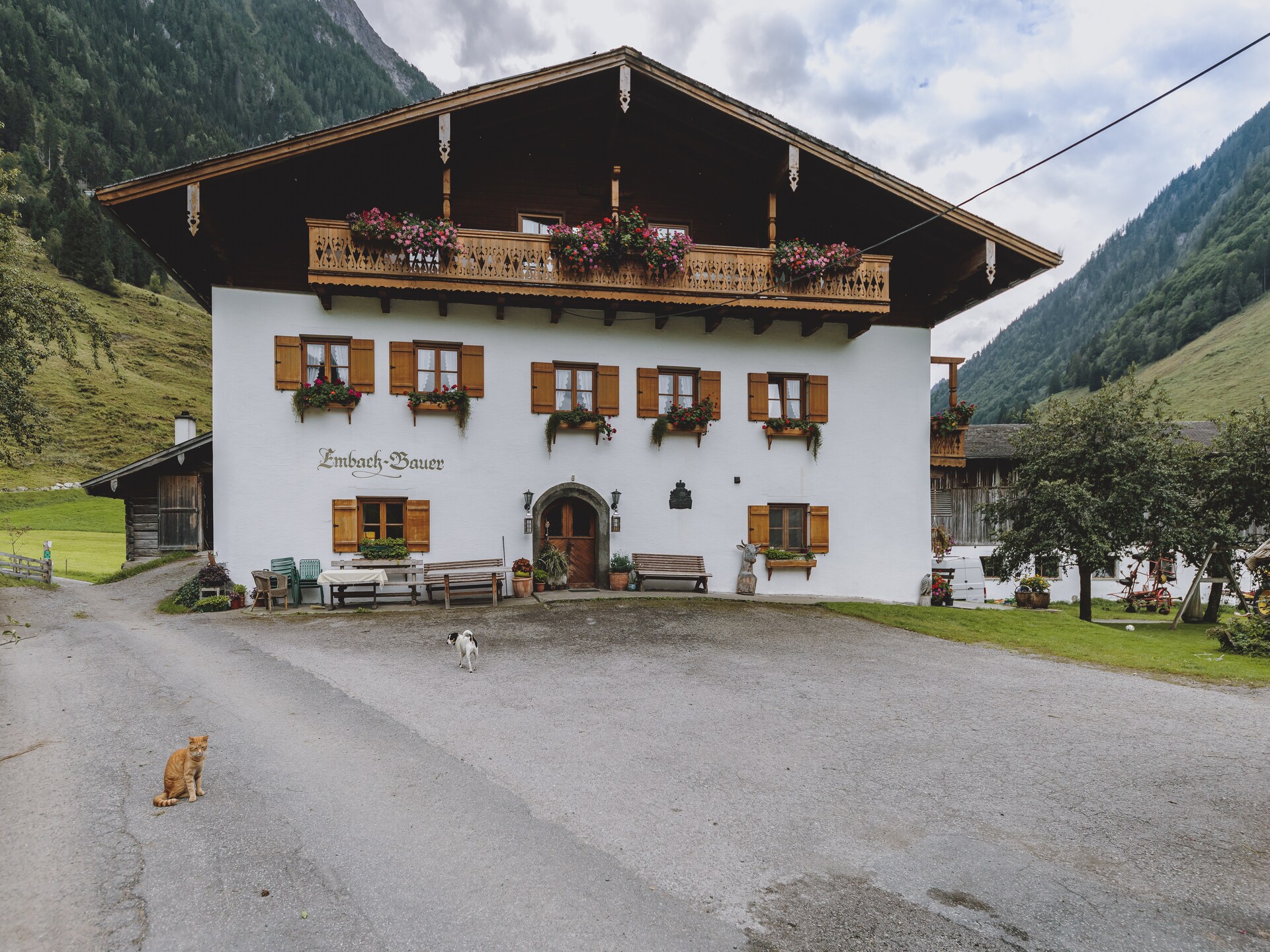 Rustiek appartement aan de golfbaan met uitzicht op de Grossglockner - foto 13
