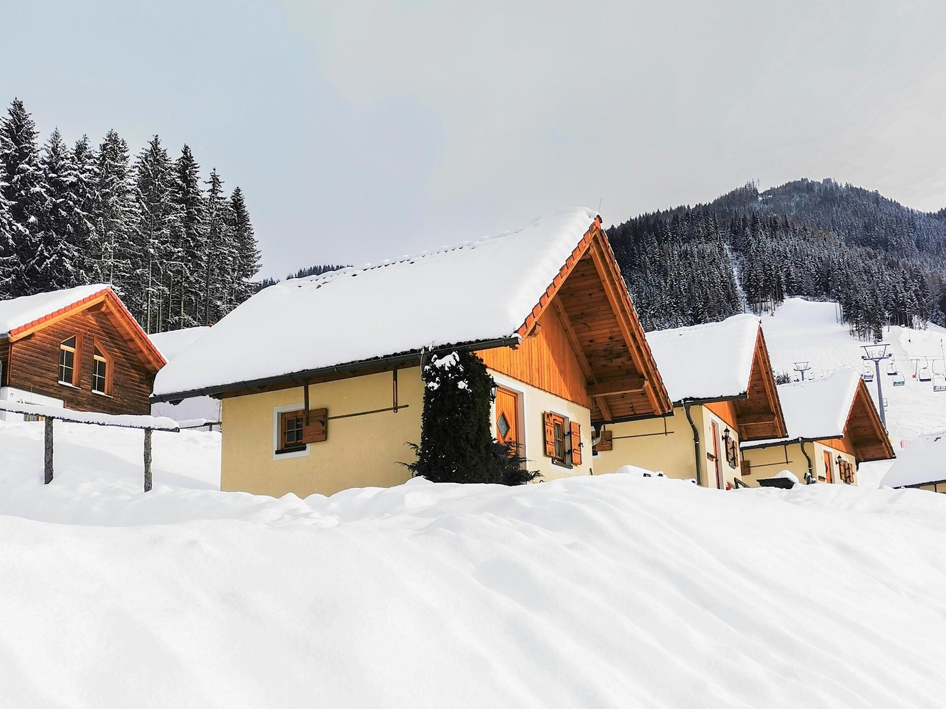 Vrijstaand huisje aan de piste in Gaal im Murtal met zwemvijver - foto 1