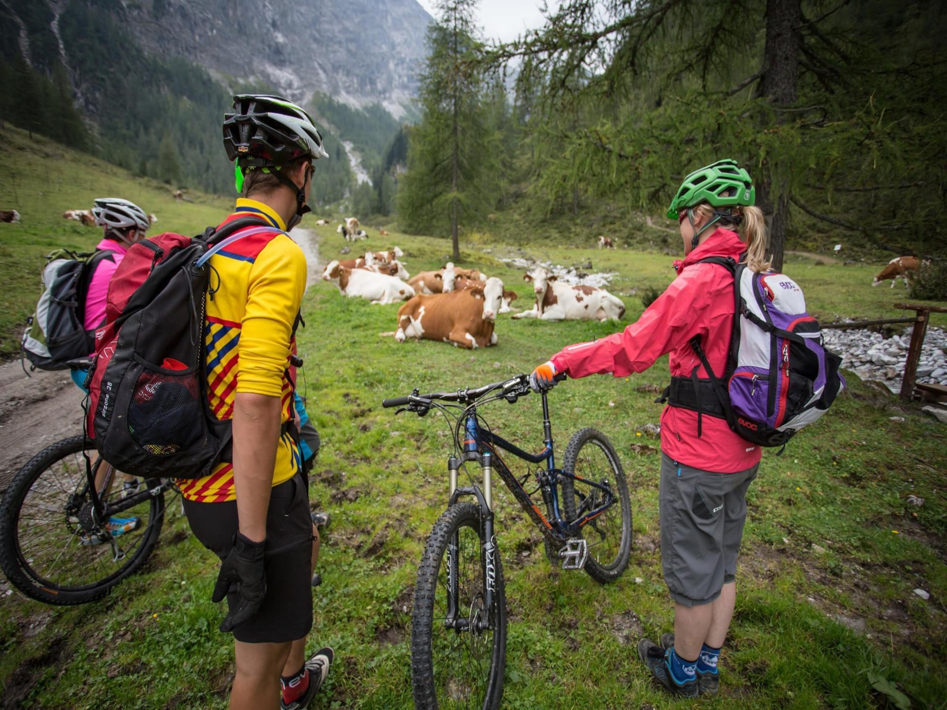 2-persoons appartement in Flachau: rust en natuur in de Alpen - foto 8