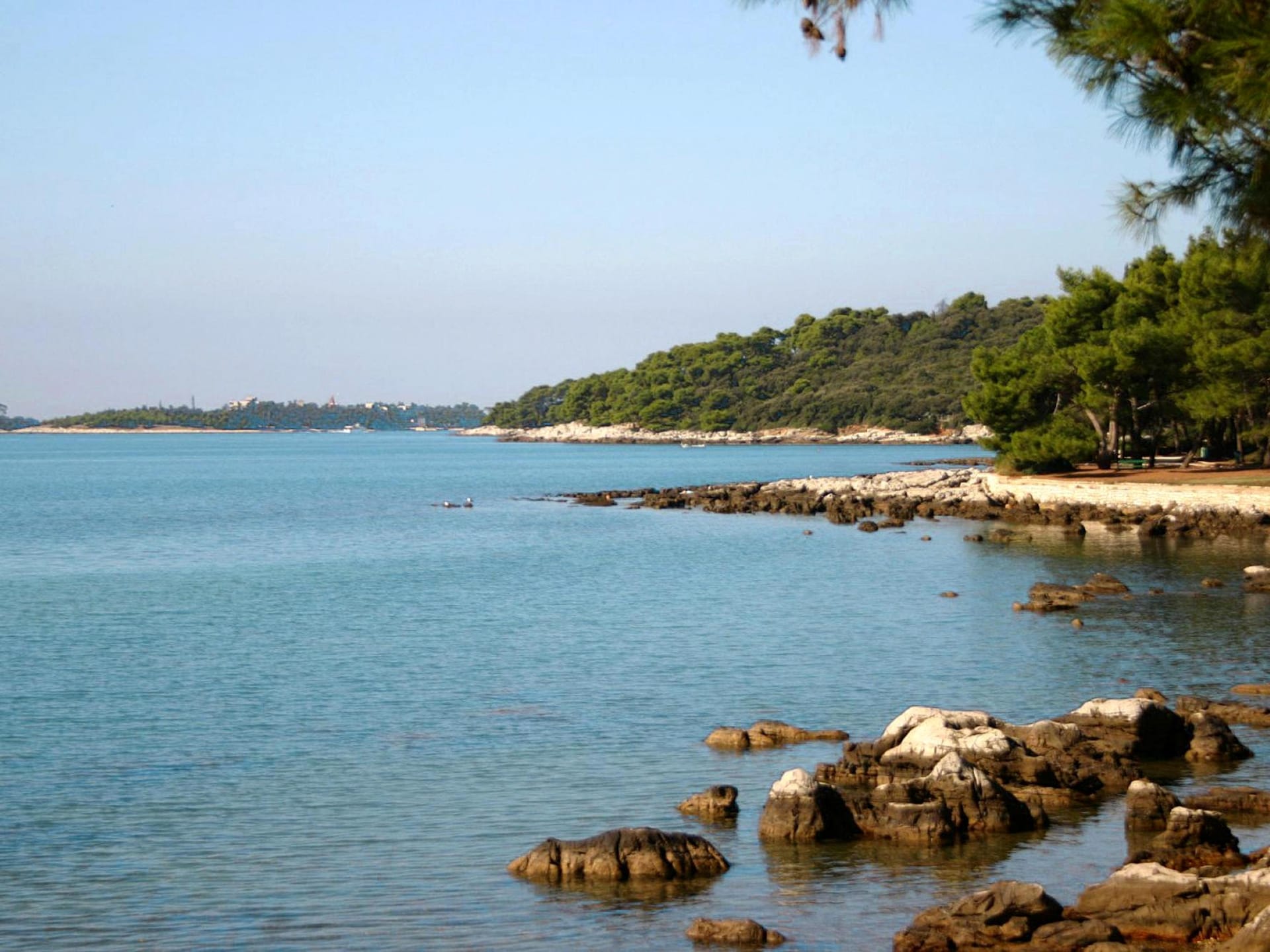 3-persoons appartement in Rovinj op 900 m van de zee - foto 20