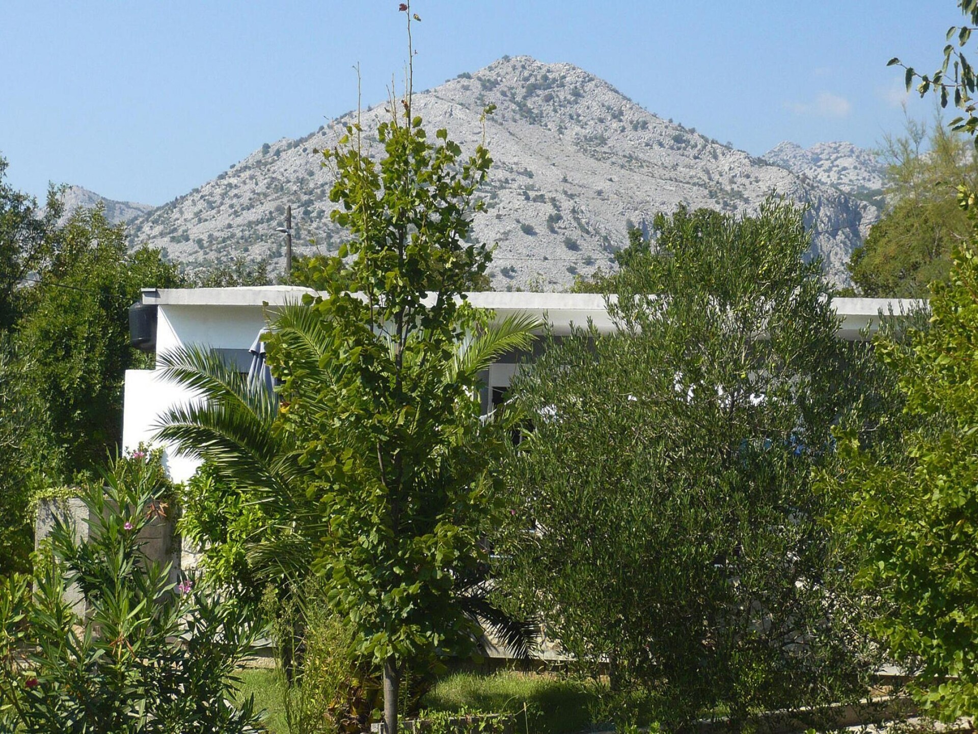 Aan zee gelegen bungalow in Starigrad Paklenica voor 5 personen - foto 8