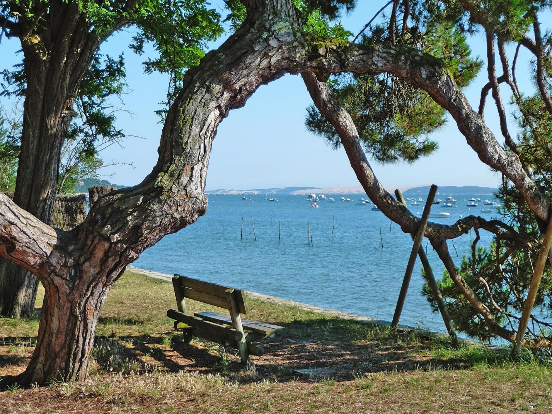 Modern vakantiehuis Le Porge: rust, ruimte en golf op 8 km van zee - foto 14