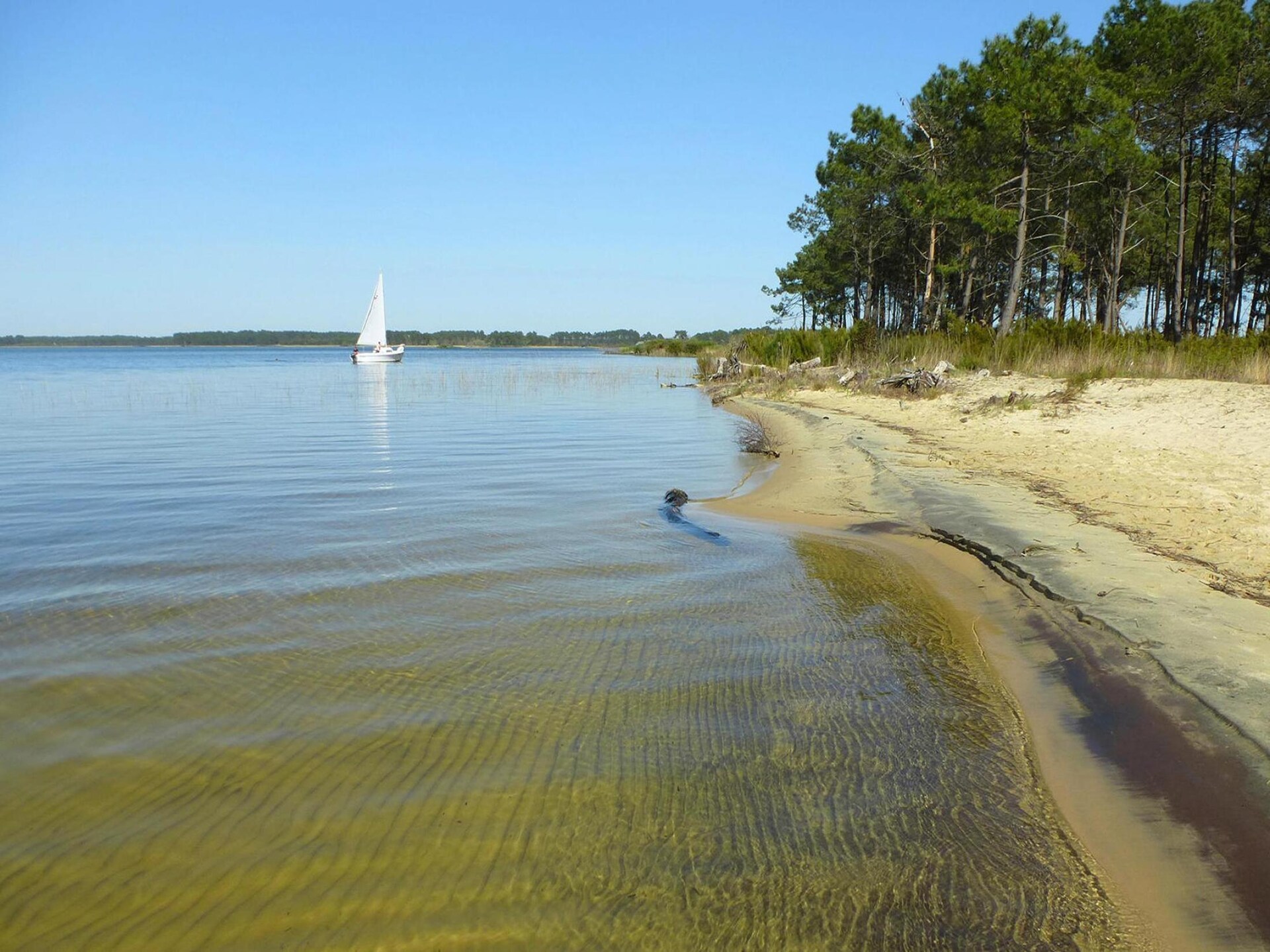 Modern vakantiehuis Le Porge: rust, ruimte en golf op 8 km van zee - foto 17