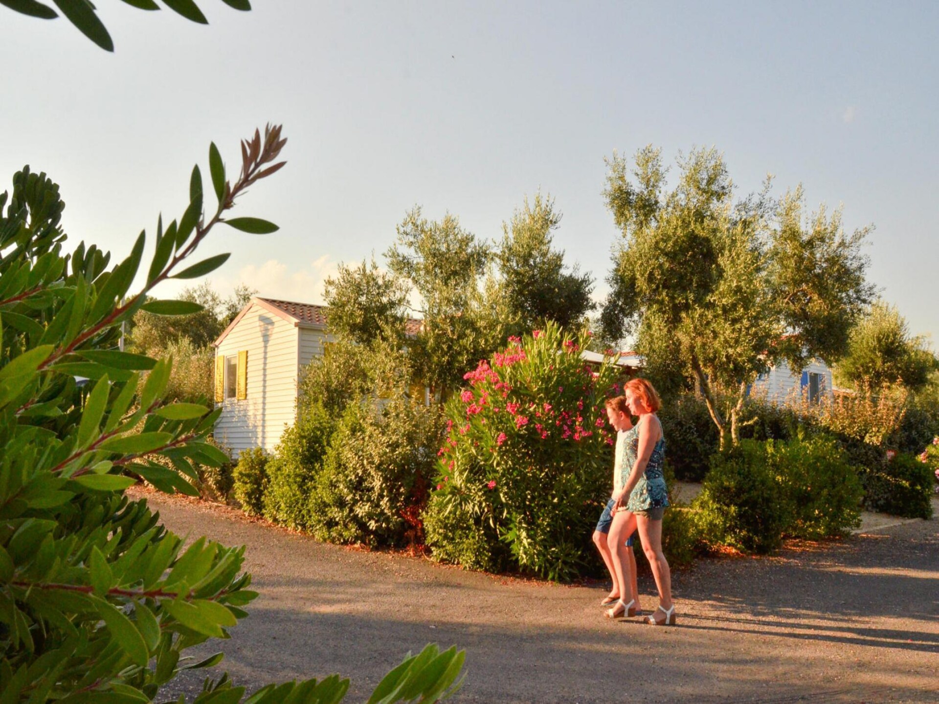 Premium stacaravan 6p aan de Languedoc-kust met waterpark en golf - foto 22