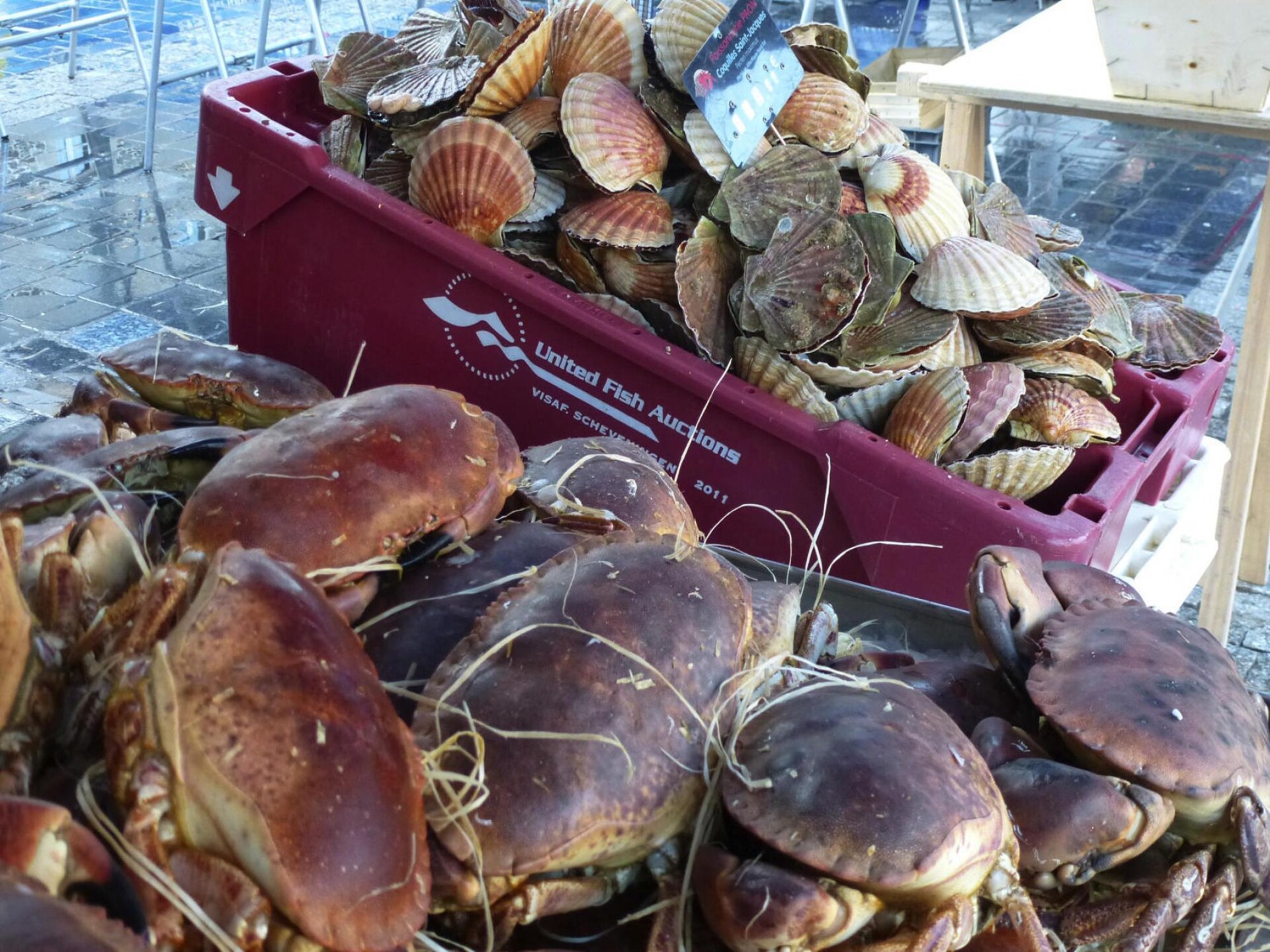 Vrijstaand vakantiehuis met tuin, 400m van baai bij Paimpol - foto 30