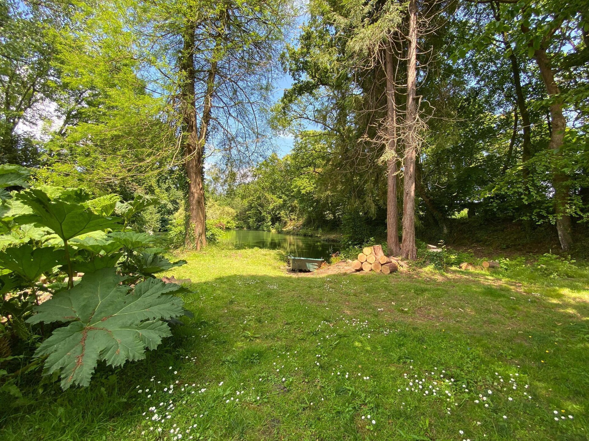 Rustiek vakantiehuis aan eigen visvijver bij St. Sauveur-le-Vicomte - foto 14