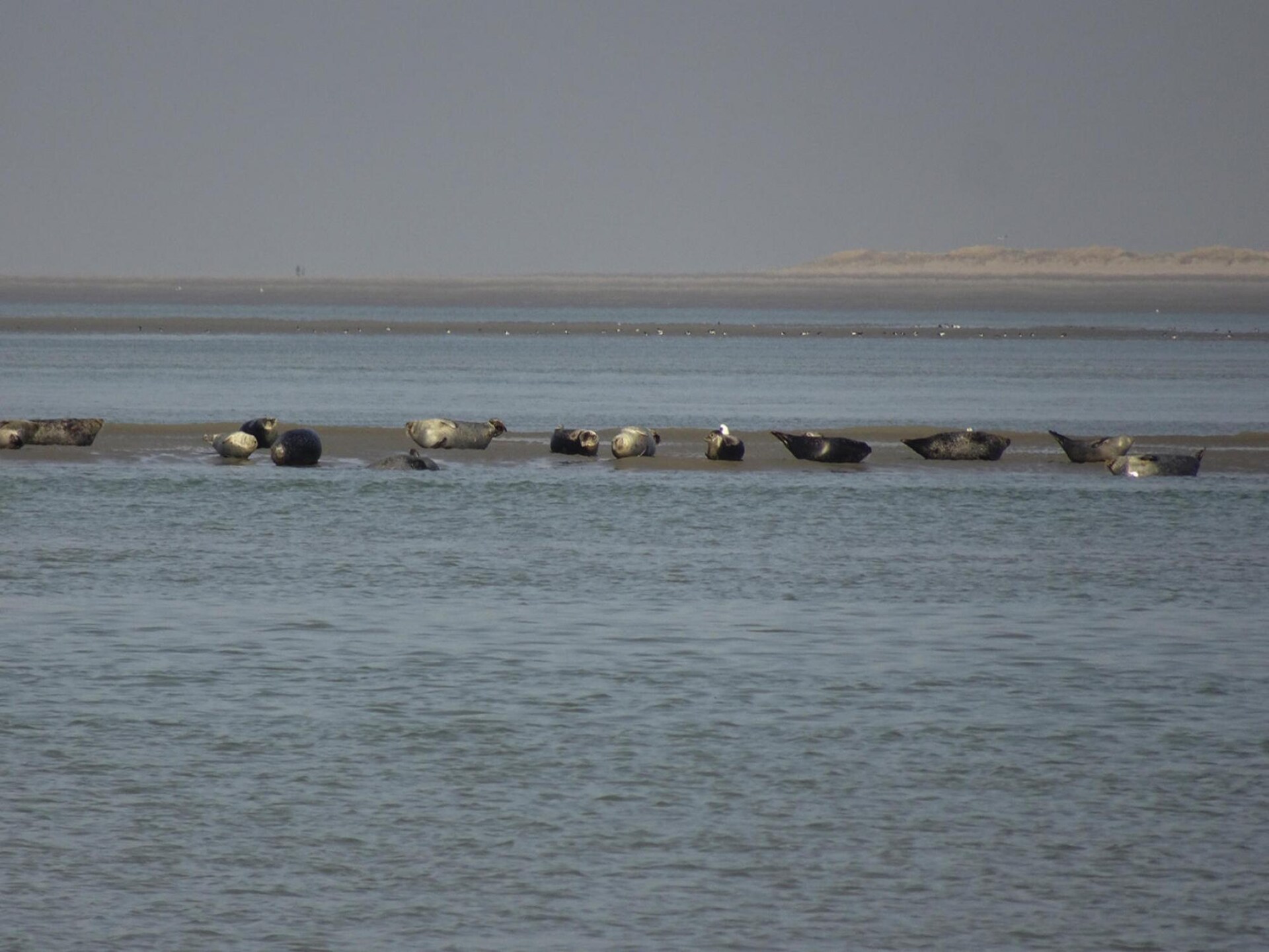 Charmant vakantiehuis in Lanchères in de Baai van de Somme - foto 16
