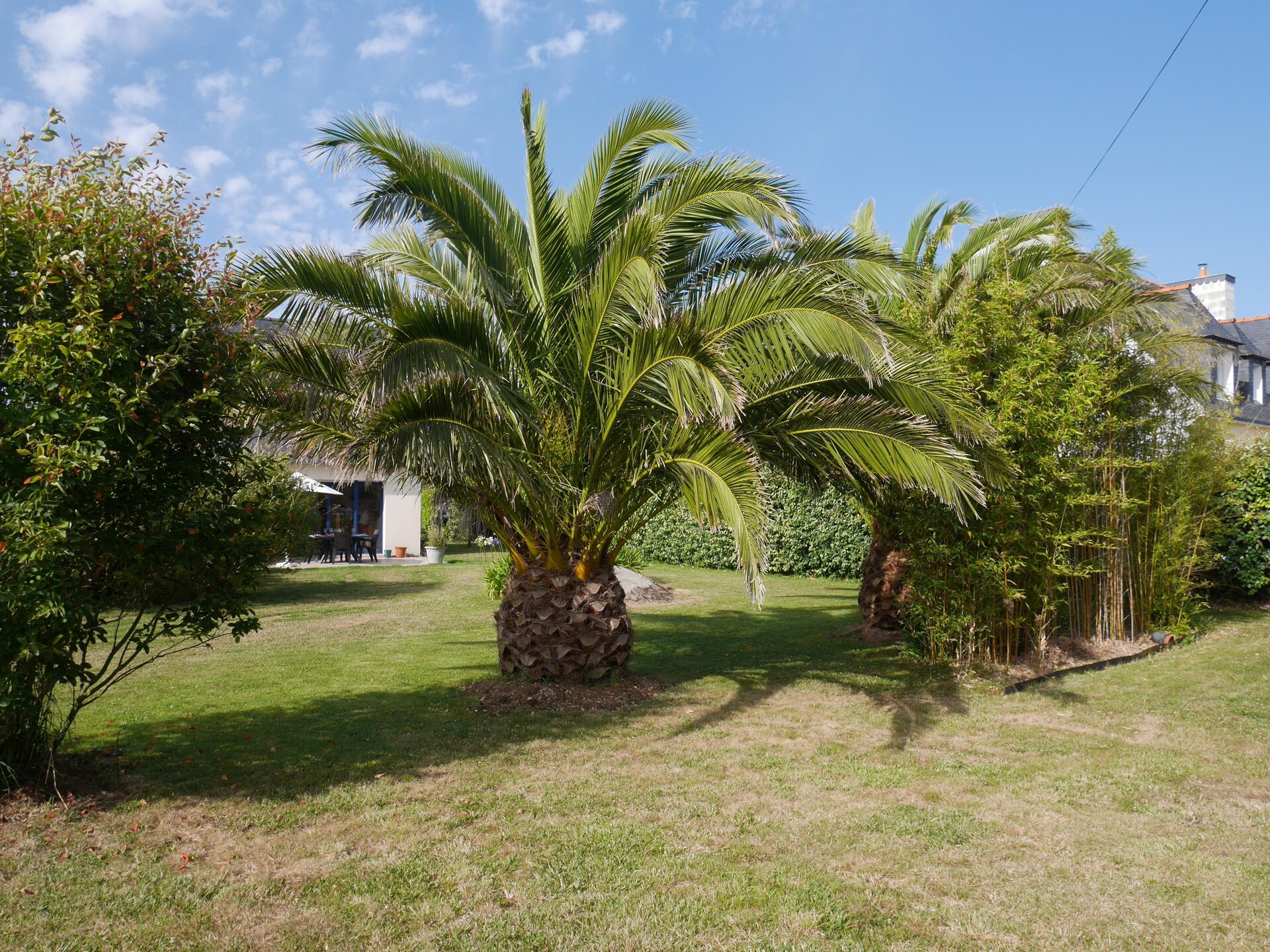 Op 350 m van zee: Modern vakantiehuis in Brignogan-Plages - foto 18