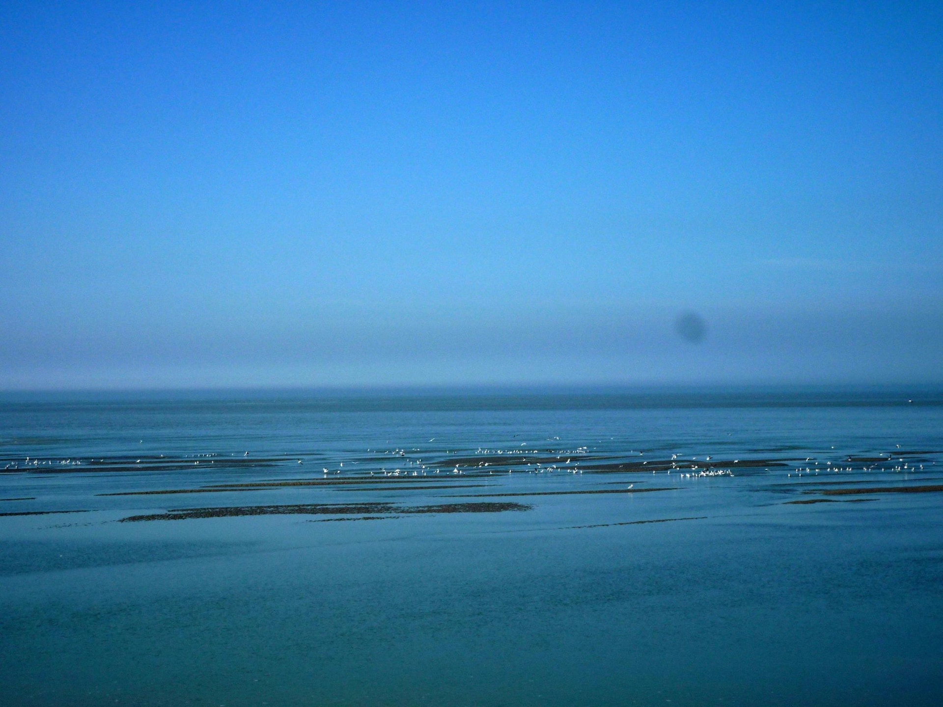 Op 800 m van zee: rustig vakantiehuis in Cayeux-sur-Mer - foto 9