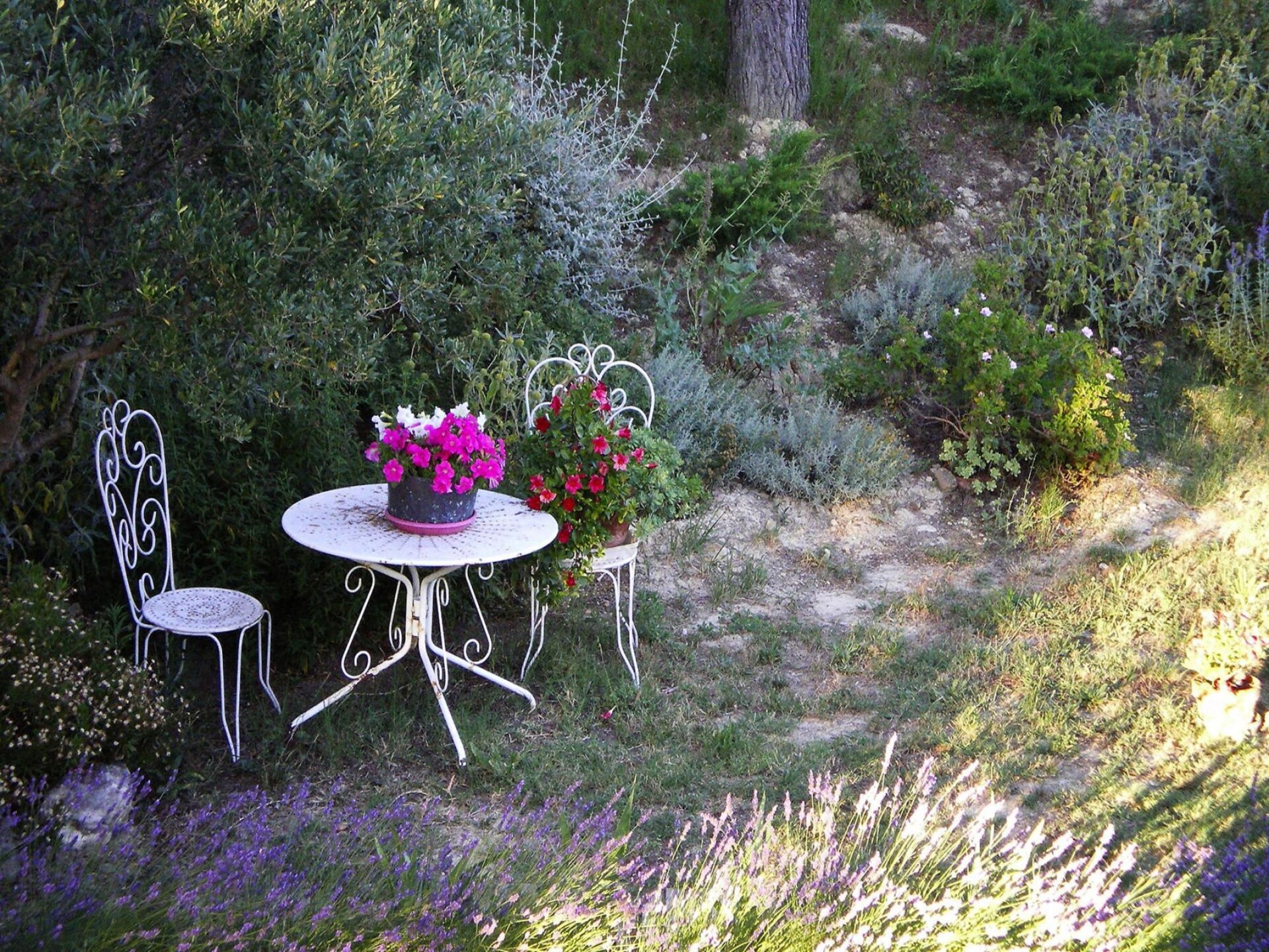 Provençaals vakantiehuisje voor 4 personen in Bellegarde, poort van de Camargue - foto 17