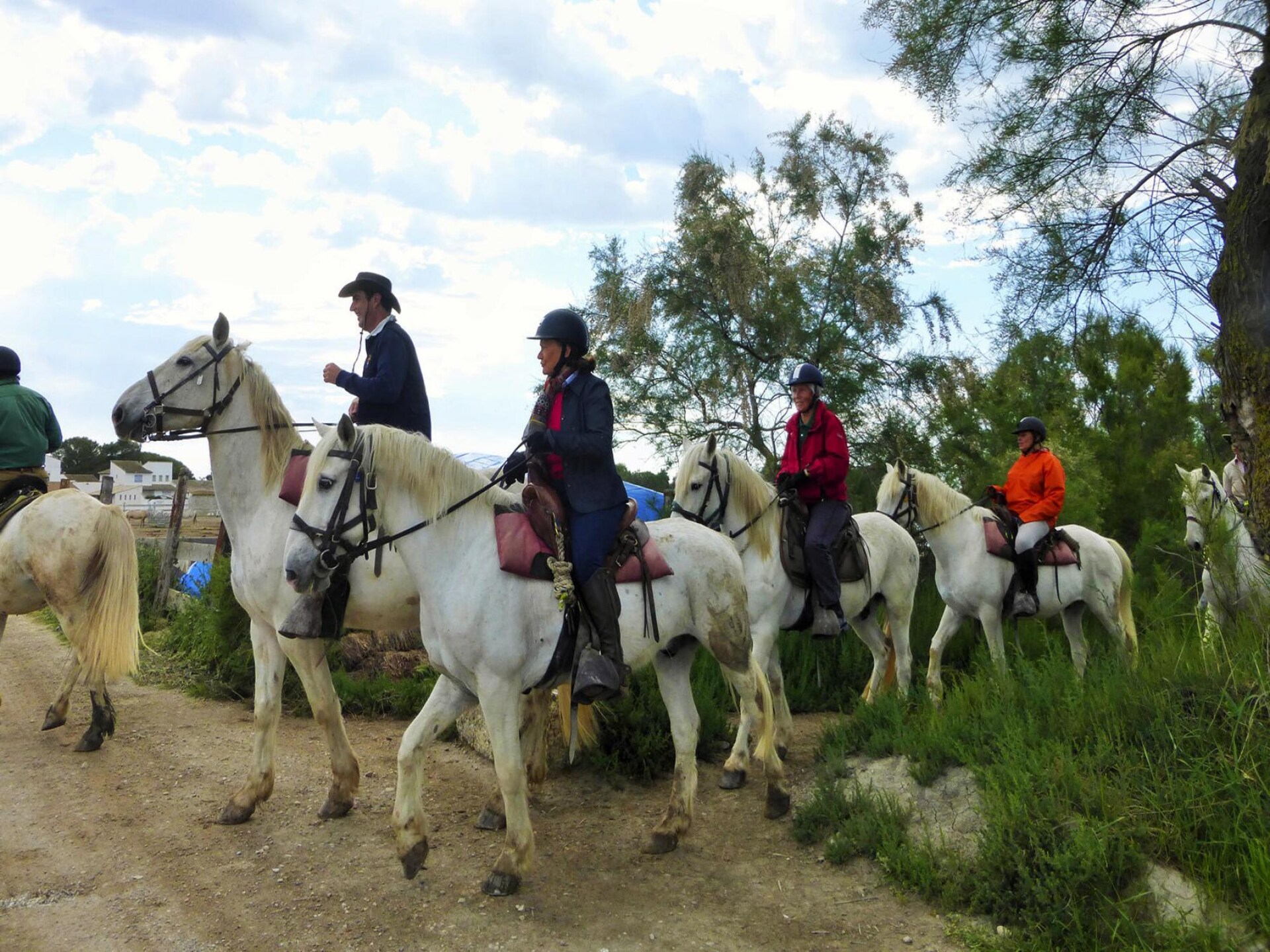 Provençaals vakantiehuisje voor 4 personen in Bellegarde, poort van de Camargue - foto 23
