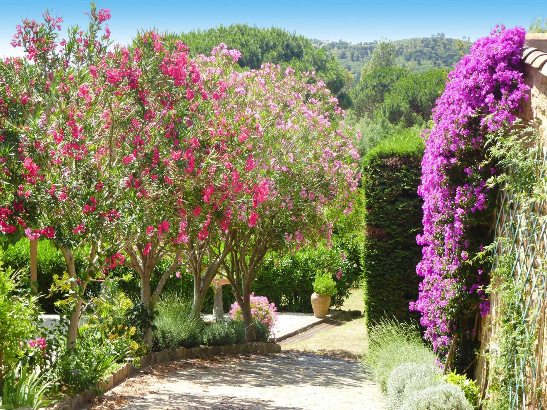 Sfeervol vakantiehuis in Roquebrune-sur-Argens met panoramisch uitzicht - foto 14
