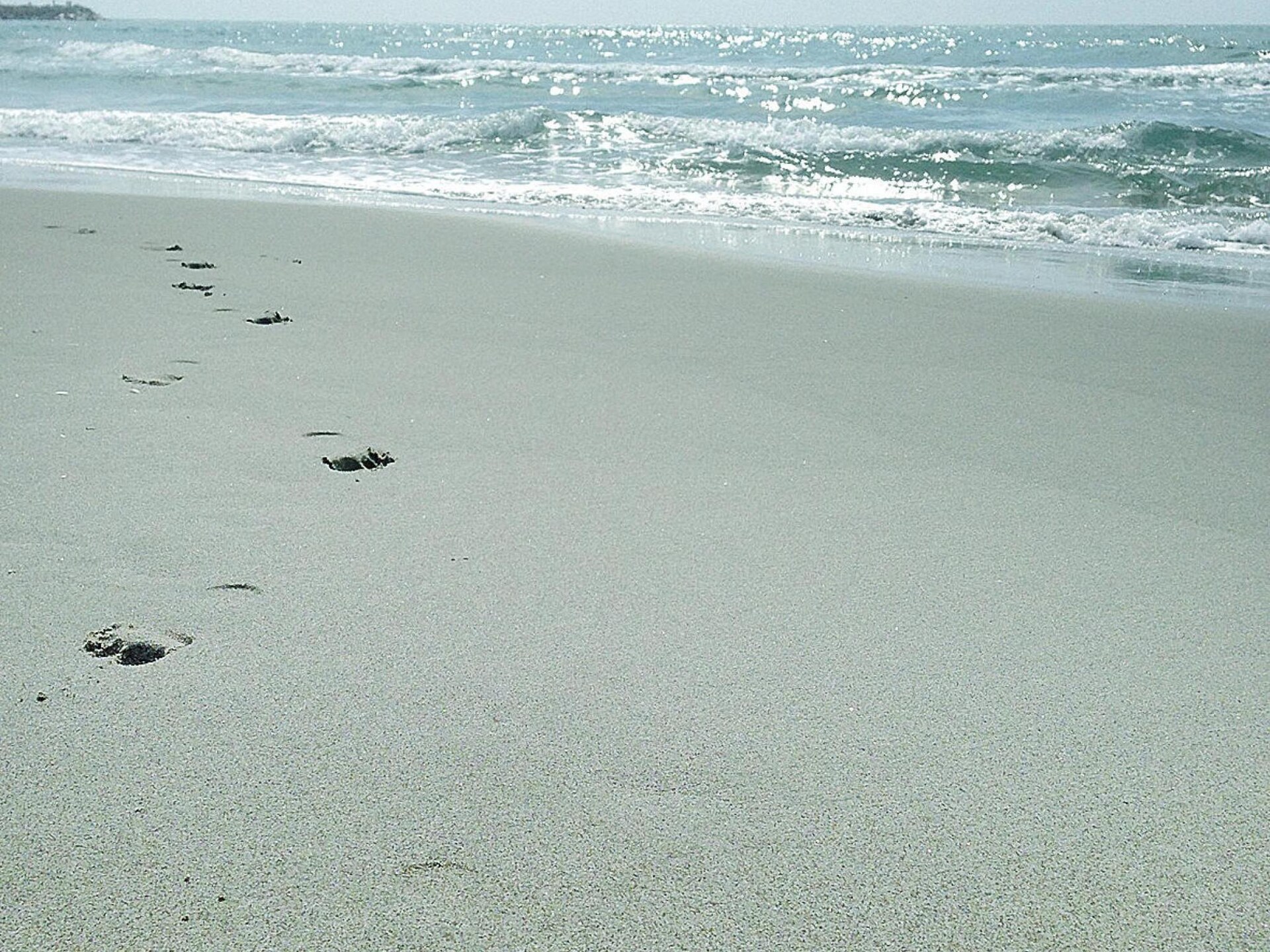 Sfeervol vakantiehuis met zwembad nabij strand Saintes-Maries-de-la-Mer - foto 22