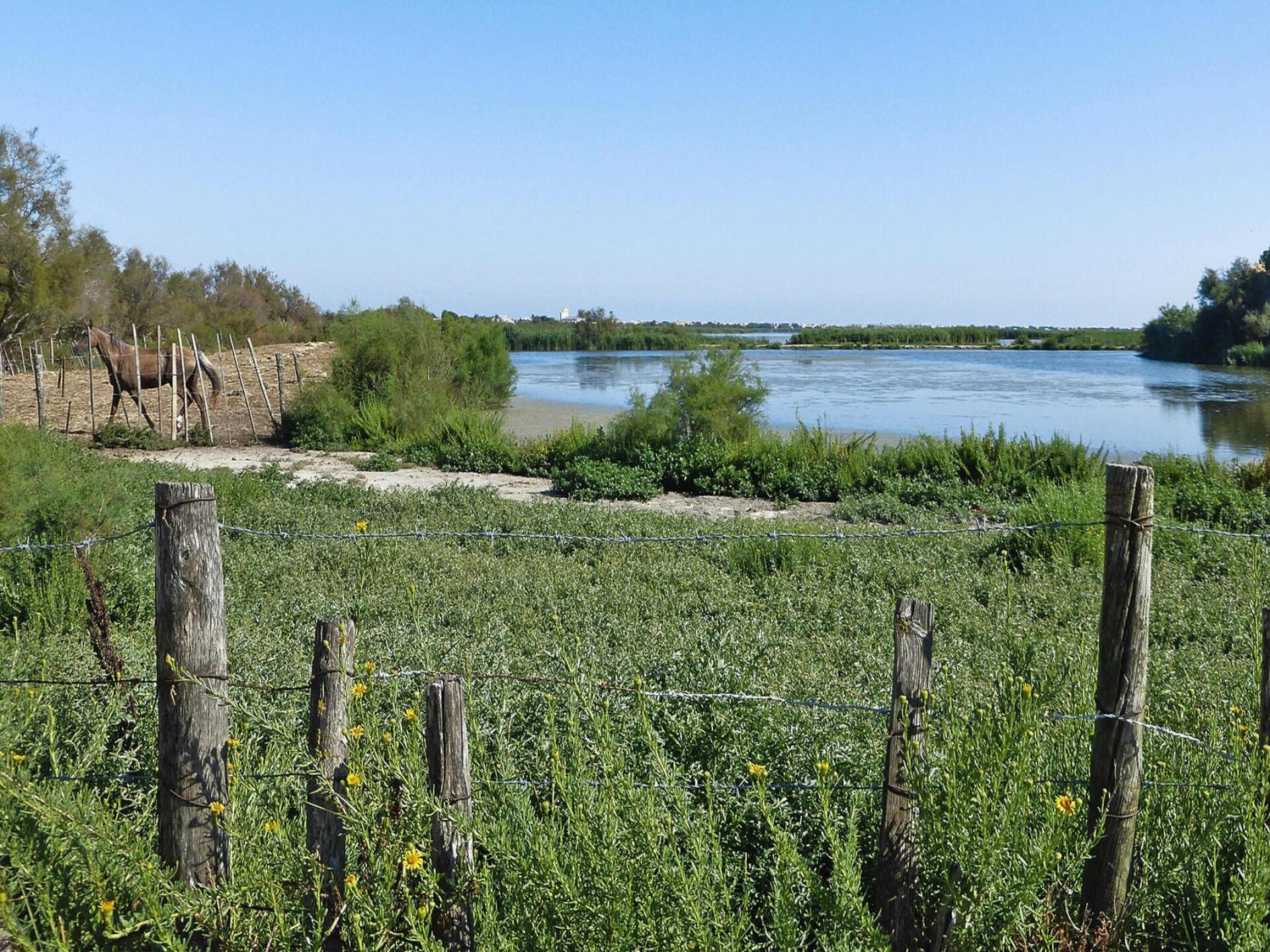 Sfeervol vakantiehuis met zwembad nabij strand Saintes-Maries-de-la-Mer - foto 19