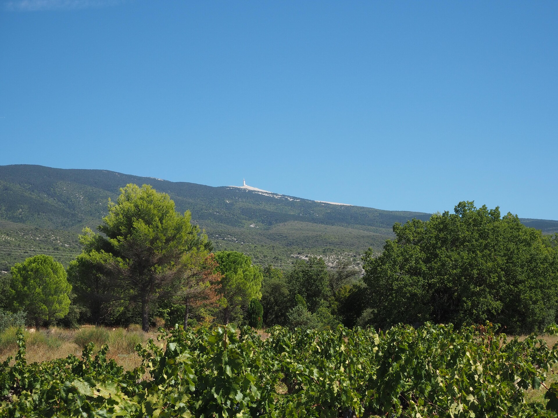 Vrijstaand vakantiehuis met privézwembad aan de voet van de Mont Ventoux - foto 28