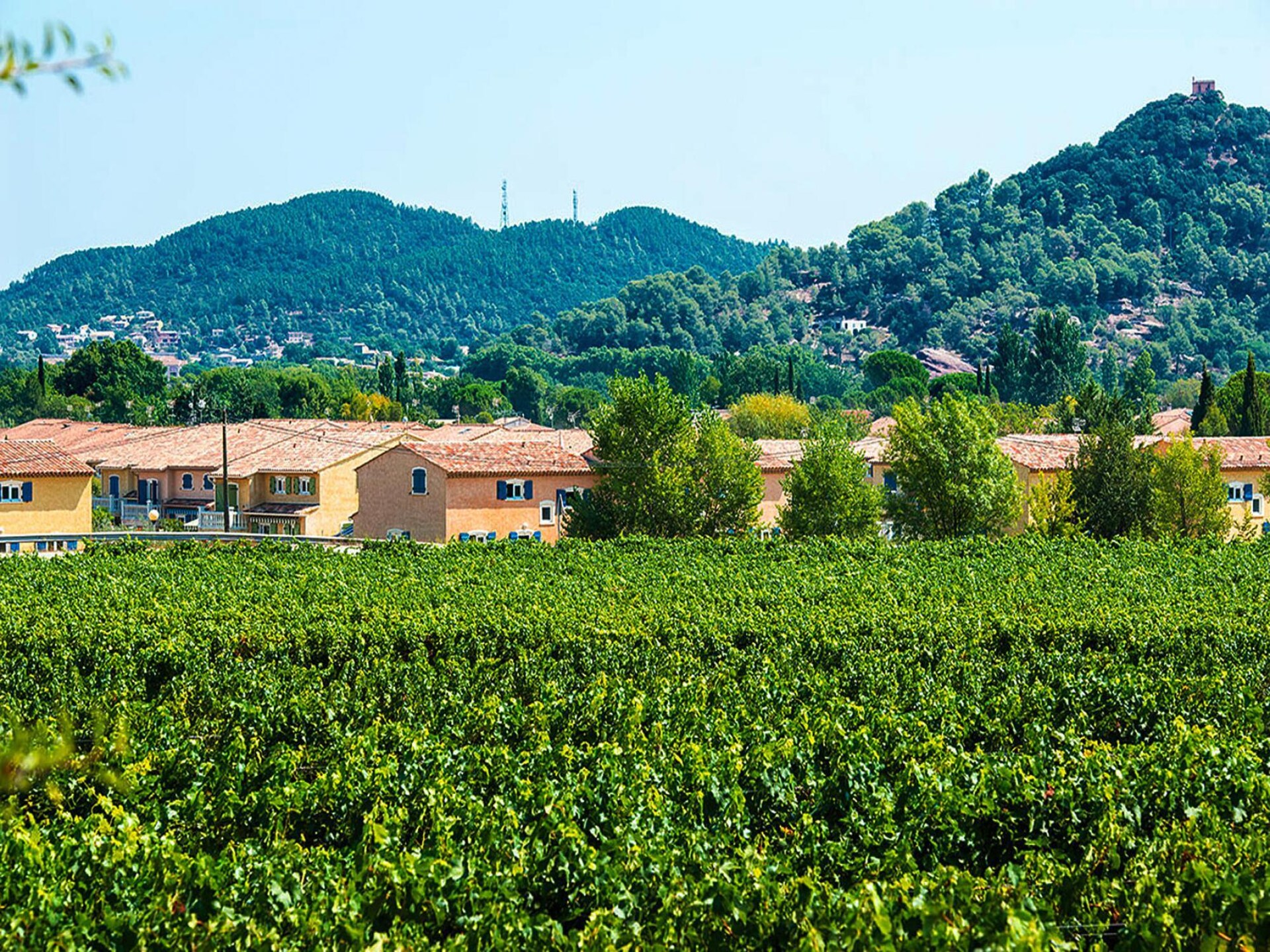 Op 1,0 km van het centrum: ruim vakantiehuis in Vidauban voor 6 personen - foto 14