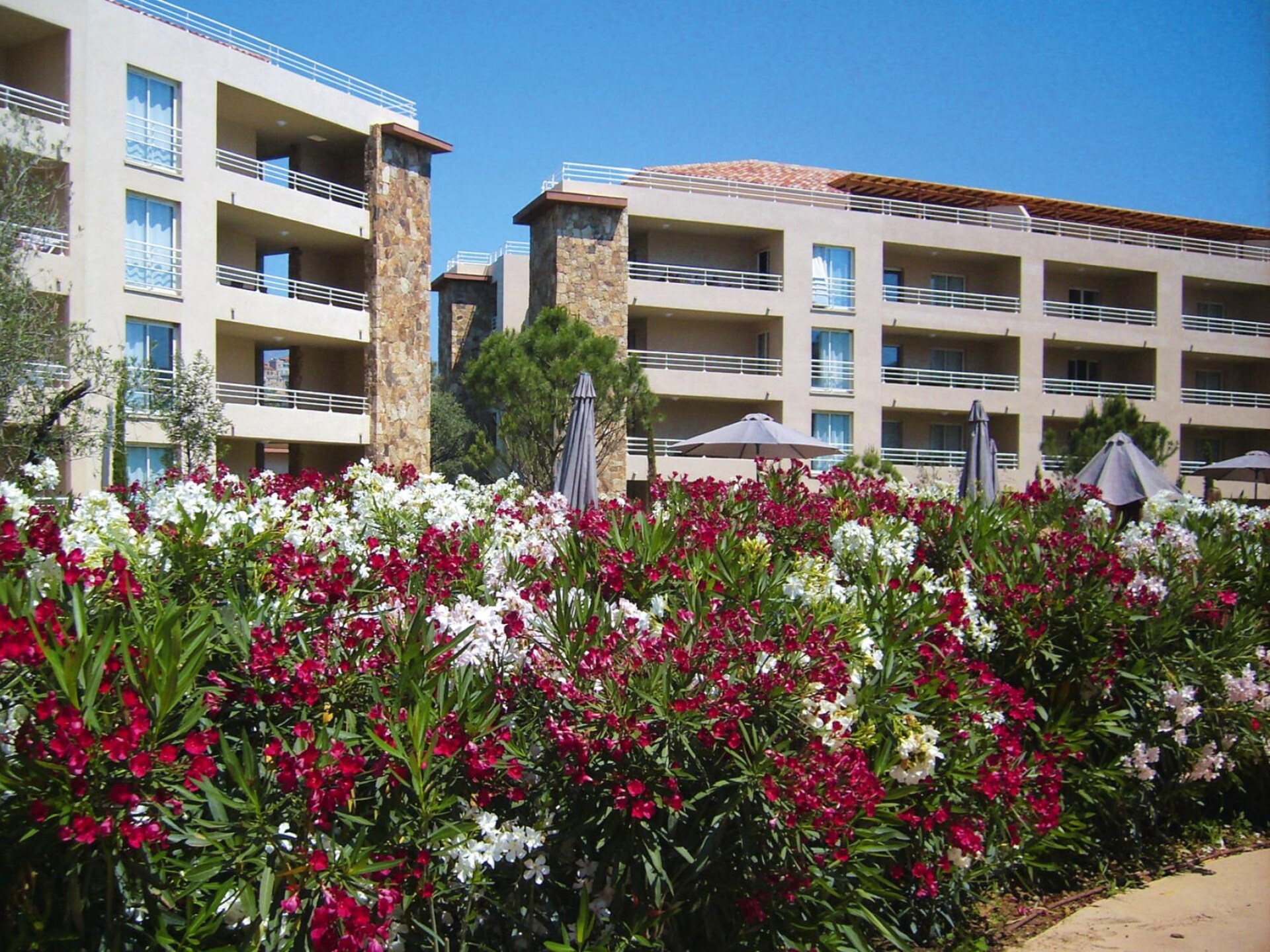 Modern appartement voor 6 aan het zwembad in Porto-Vecchio - foto 7