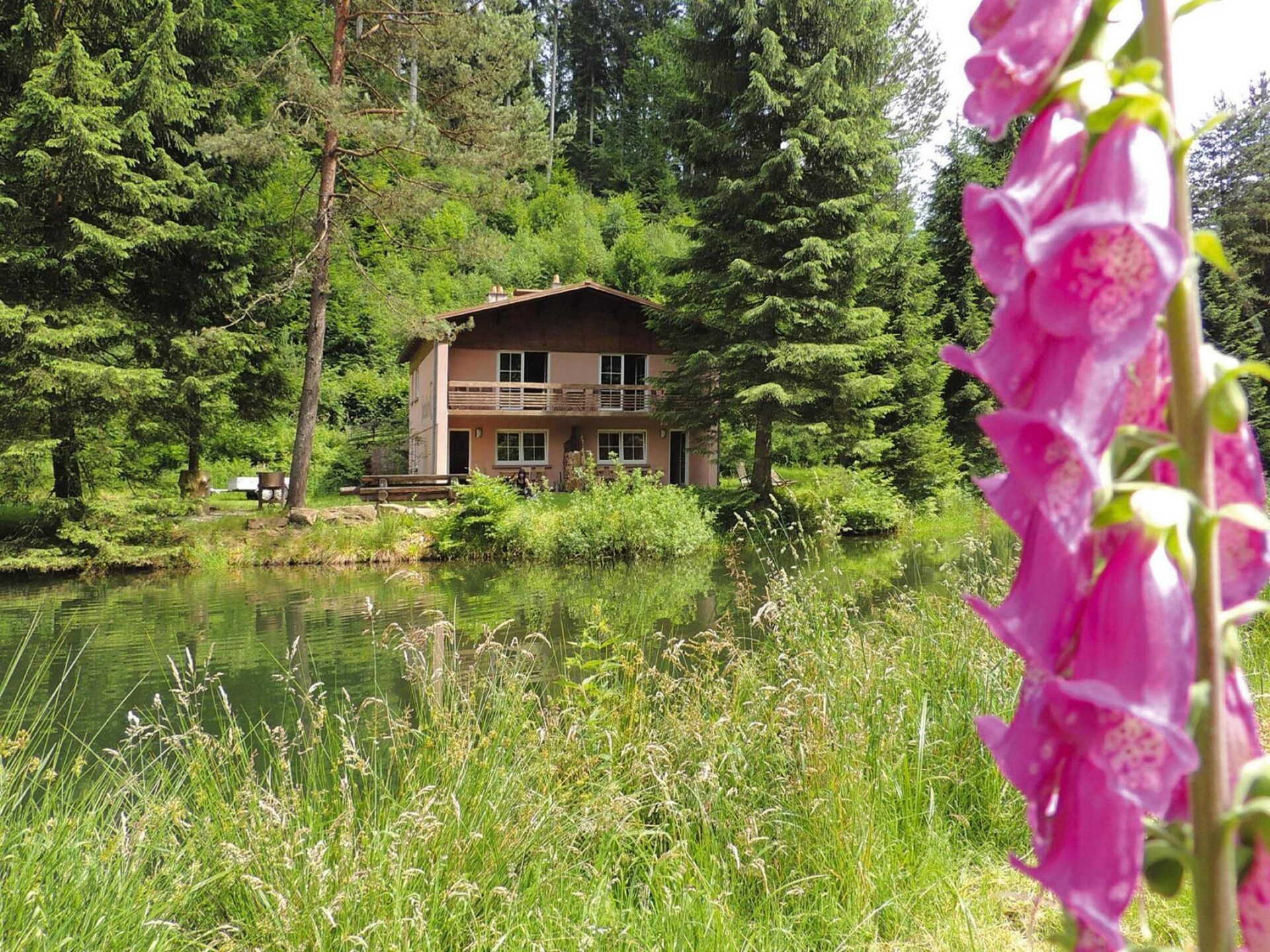 Rustiek appartement voor 7 op 40.000 m² natuur nabij Dabo - foto 19