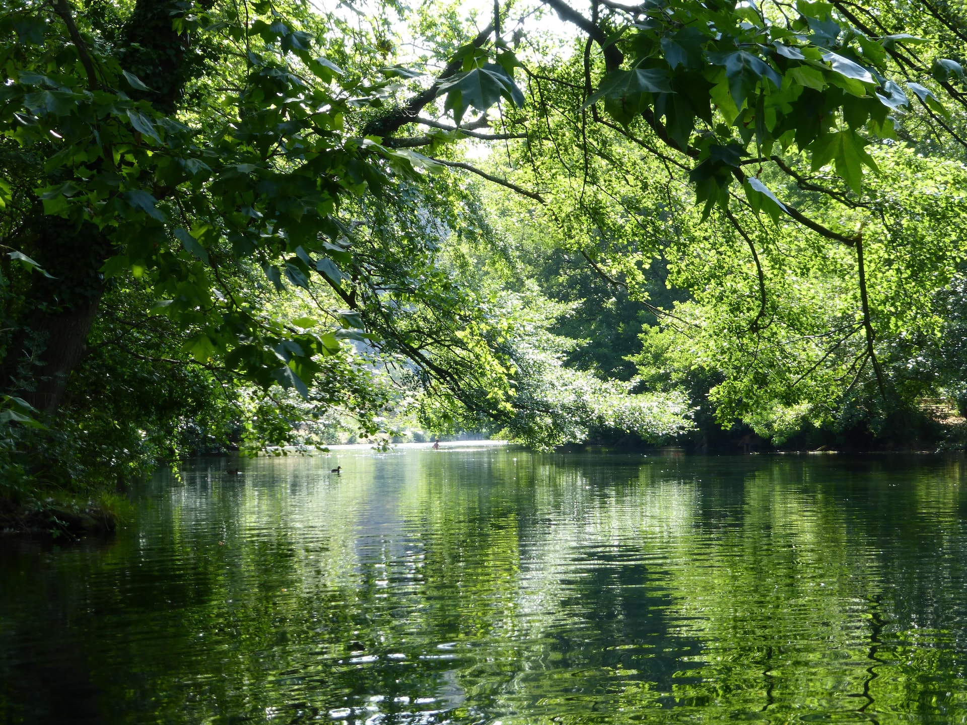 Smaakvol vakantiehuis met zwembad in L'Isle-sur-la-Sorgue - foto 25