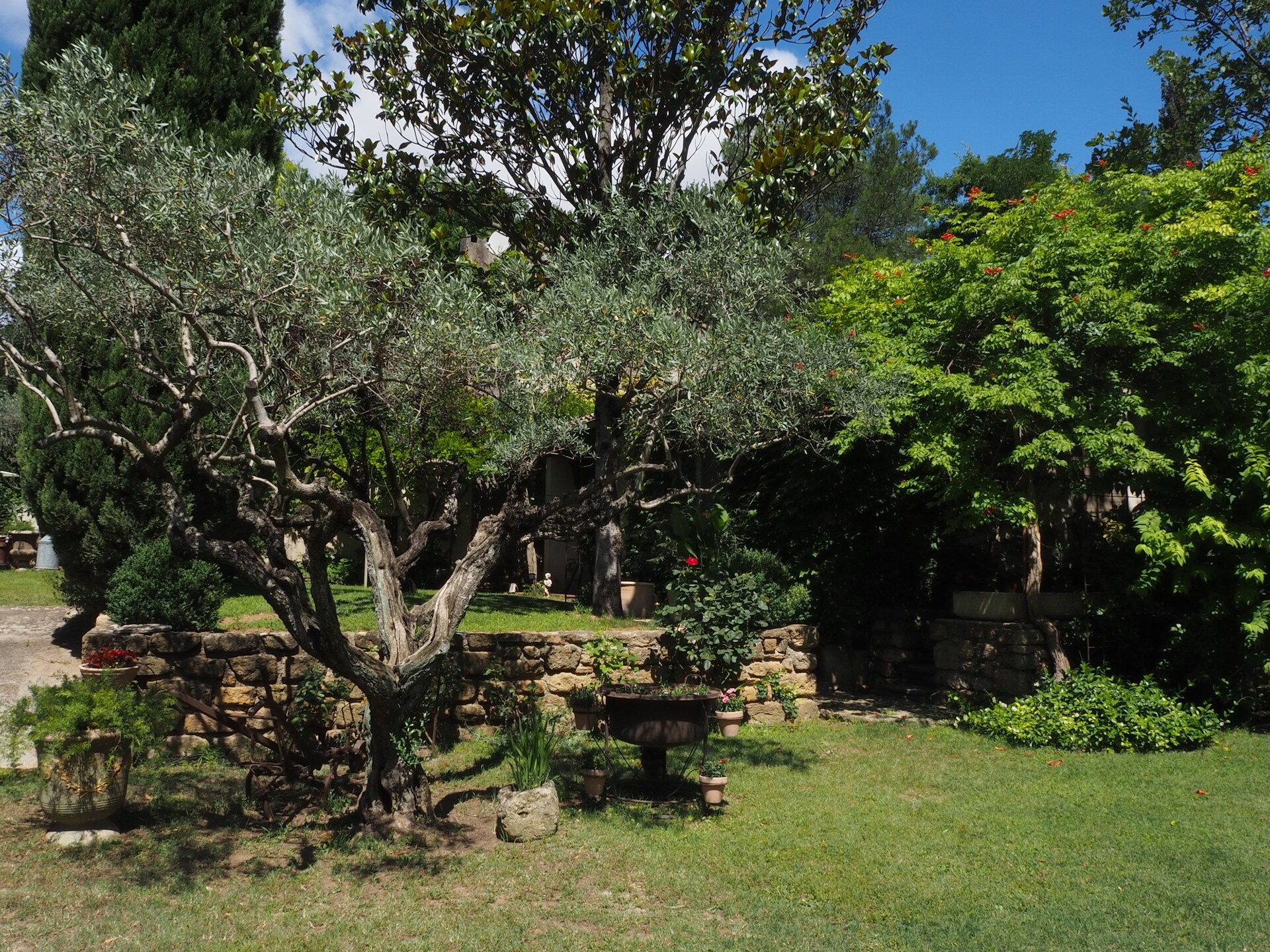 Authentiek Provençaals vakantiehuis aan de golfbaan in Bédarrides - foto 15