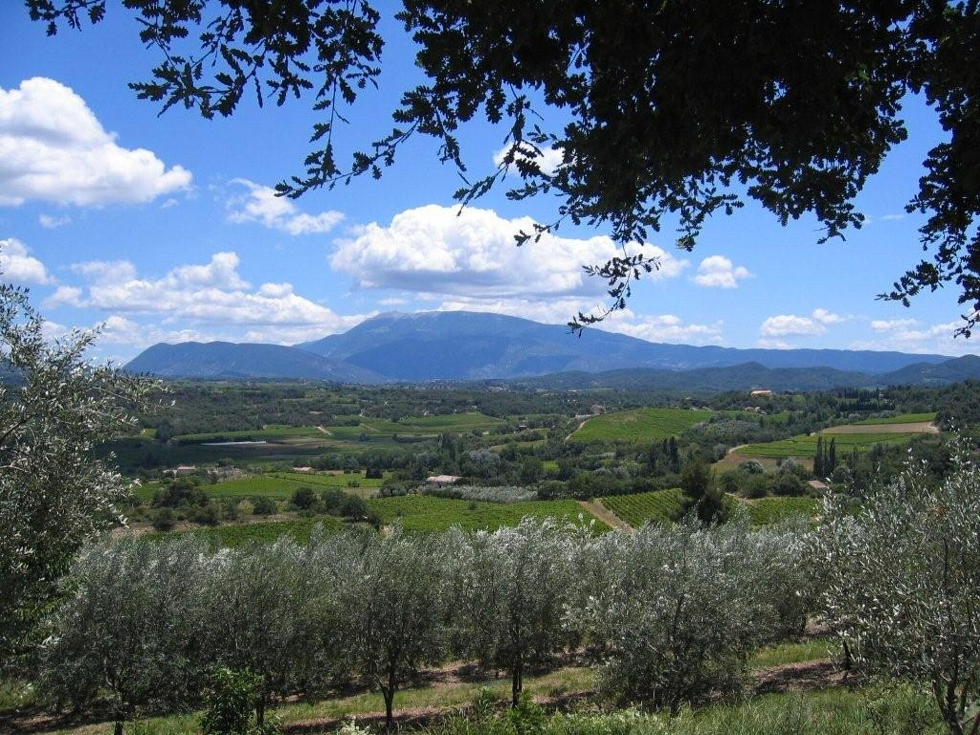 Authentiek Provençaals vakantiehuis aan de golfbaan in Bédarrides - foto 21