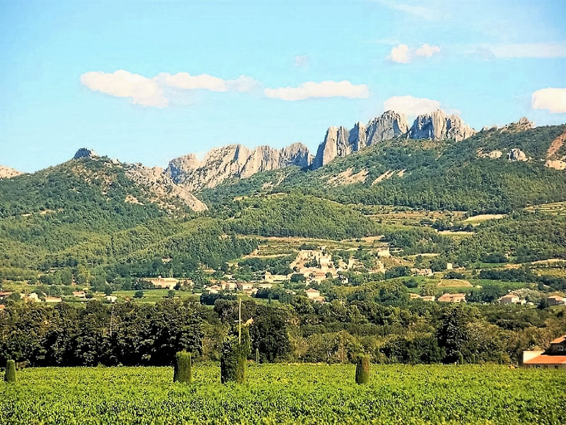 Authentiek Provençaals vakantiehuis aan de golfbaan in Bédarrides - foto 22