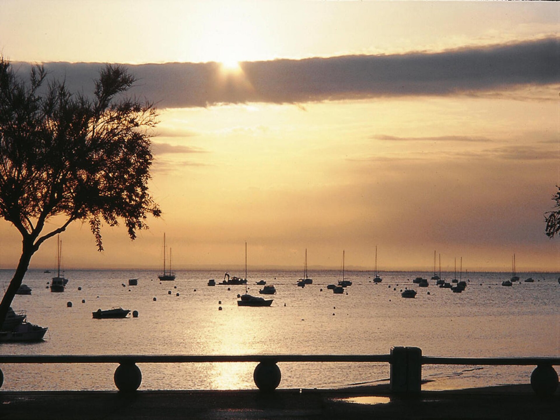 Rustiek vakantiehuis aan de golfbaan bij het Bassin d'Arcachon - foto 9
