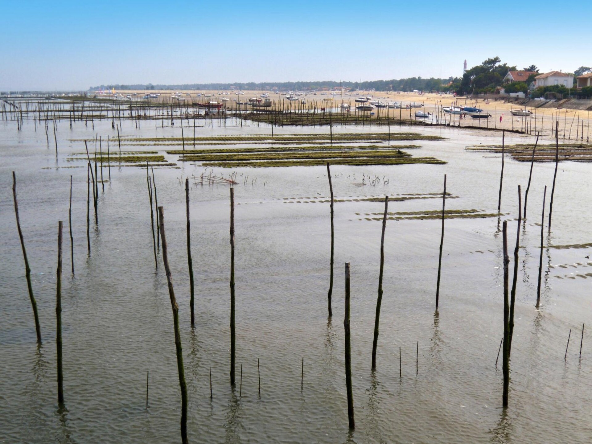 Rustiek vakantiehuis aan de golfbaan bij het Bassin d'Arcachon - foto 11
