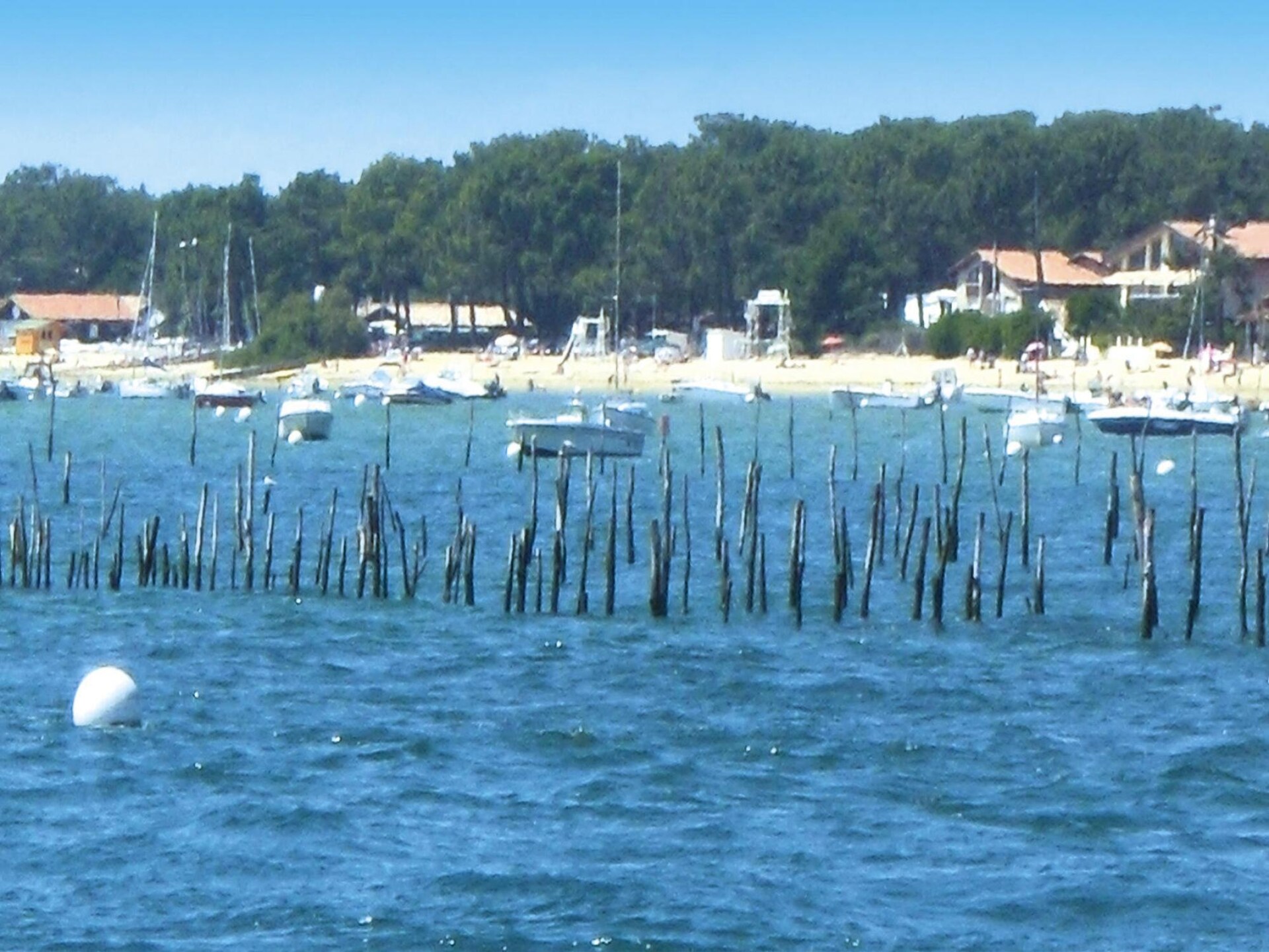 Rustiek vakantiehuis aan de golfbaan bij het Bassin d'Arcachon - foto 13