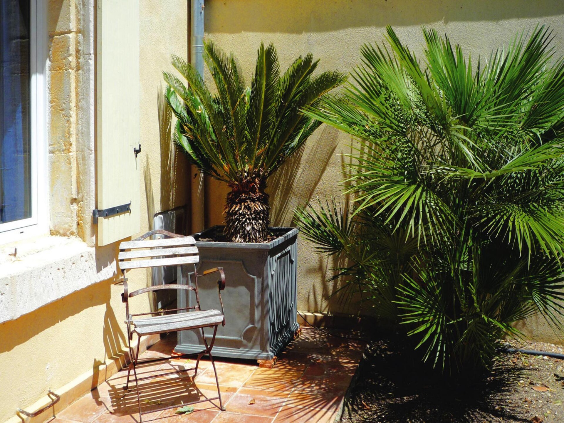 Provençaals vakantiehuis aan de golfbaan met zwembad in Noves - foto 18