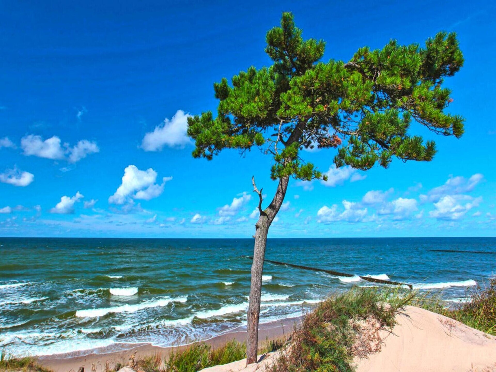 Rustgevend vakantiehuis in Wicie nabij het Baltische strand - foto 23