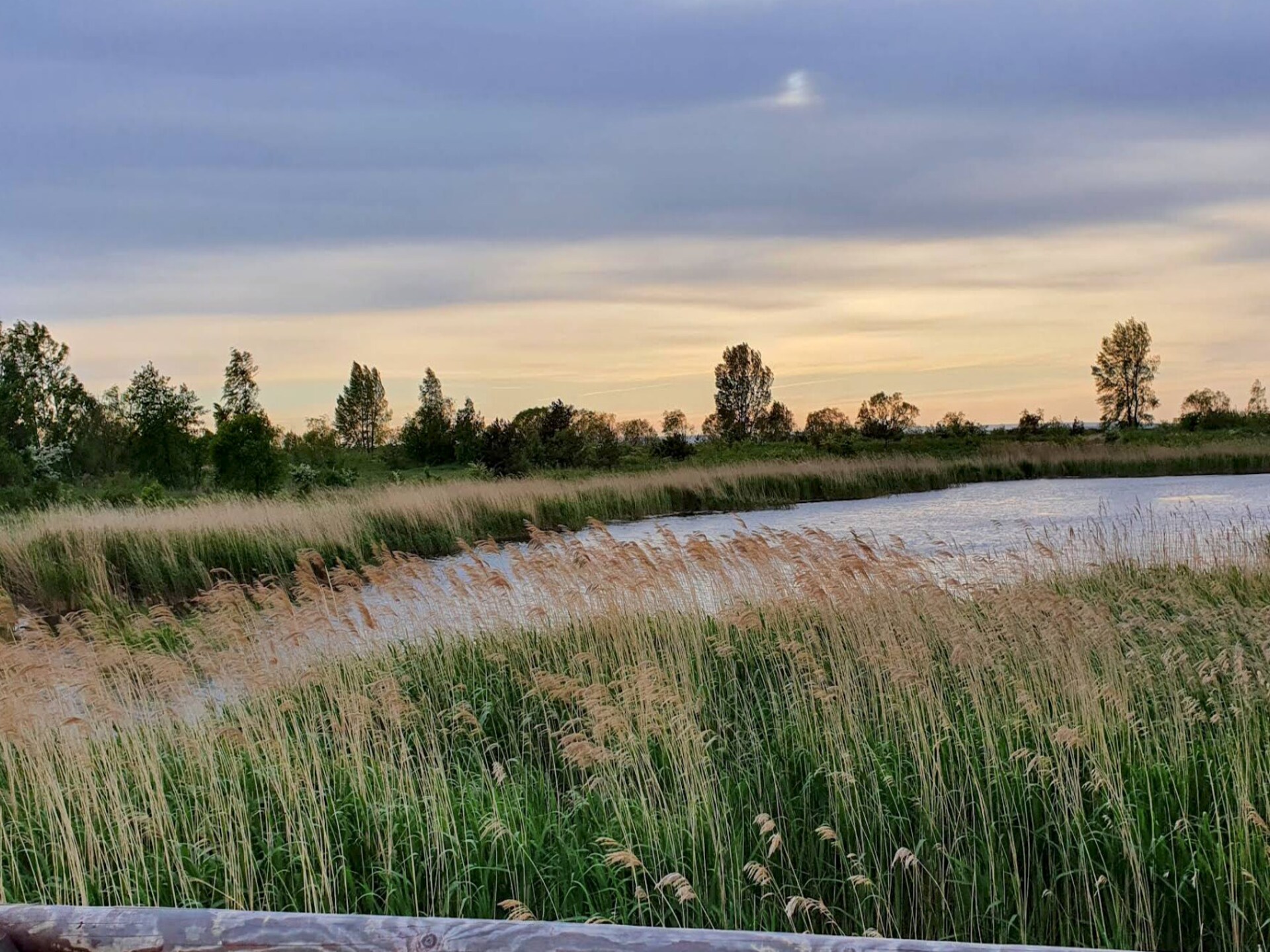 Rustiek vakantiehuis aan de Poolse kust, vlakbij strand en natuurreservaat - foto 21