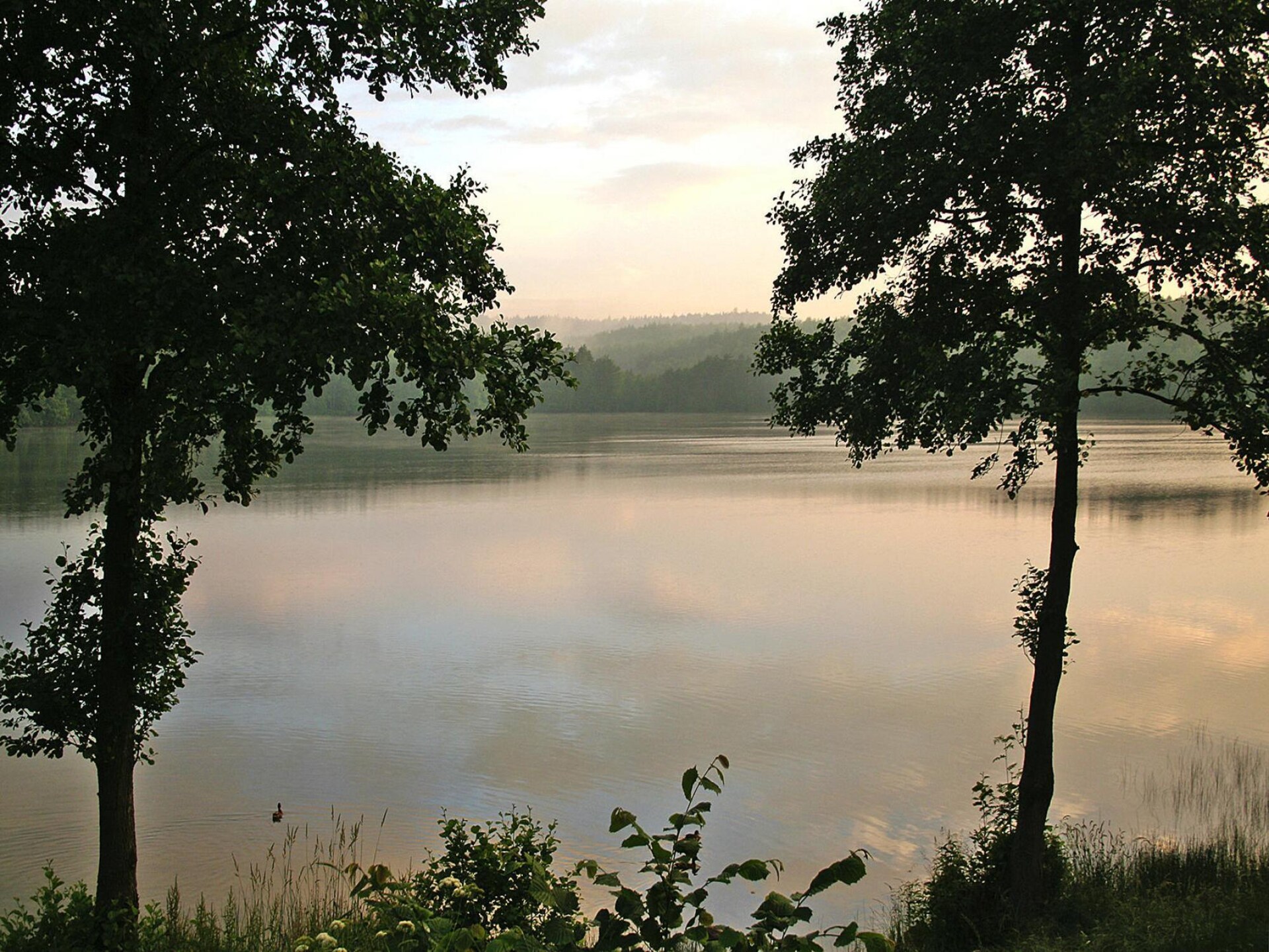 Bungalow Bieszkowice: intiem vakantiehuis aan het water in Pommeren - foto 22