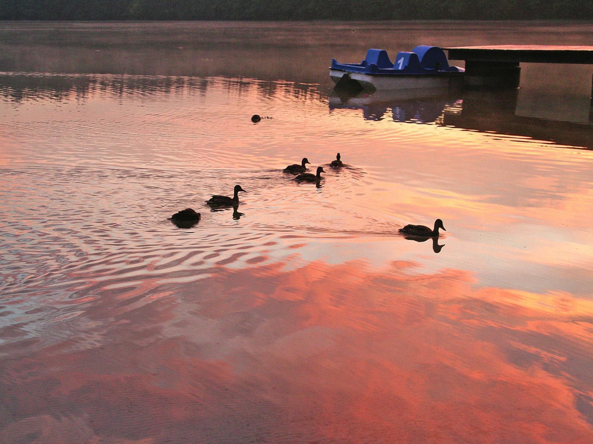 Bungalow Bieszkowice: intiem vakantiehuis aan het water in Pommeren - foto 23