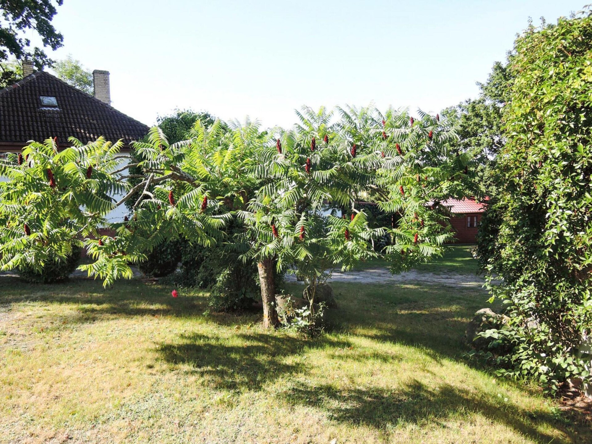 3-persoons bungalow in Lubin vlakbij het turkoois meer - foto 16