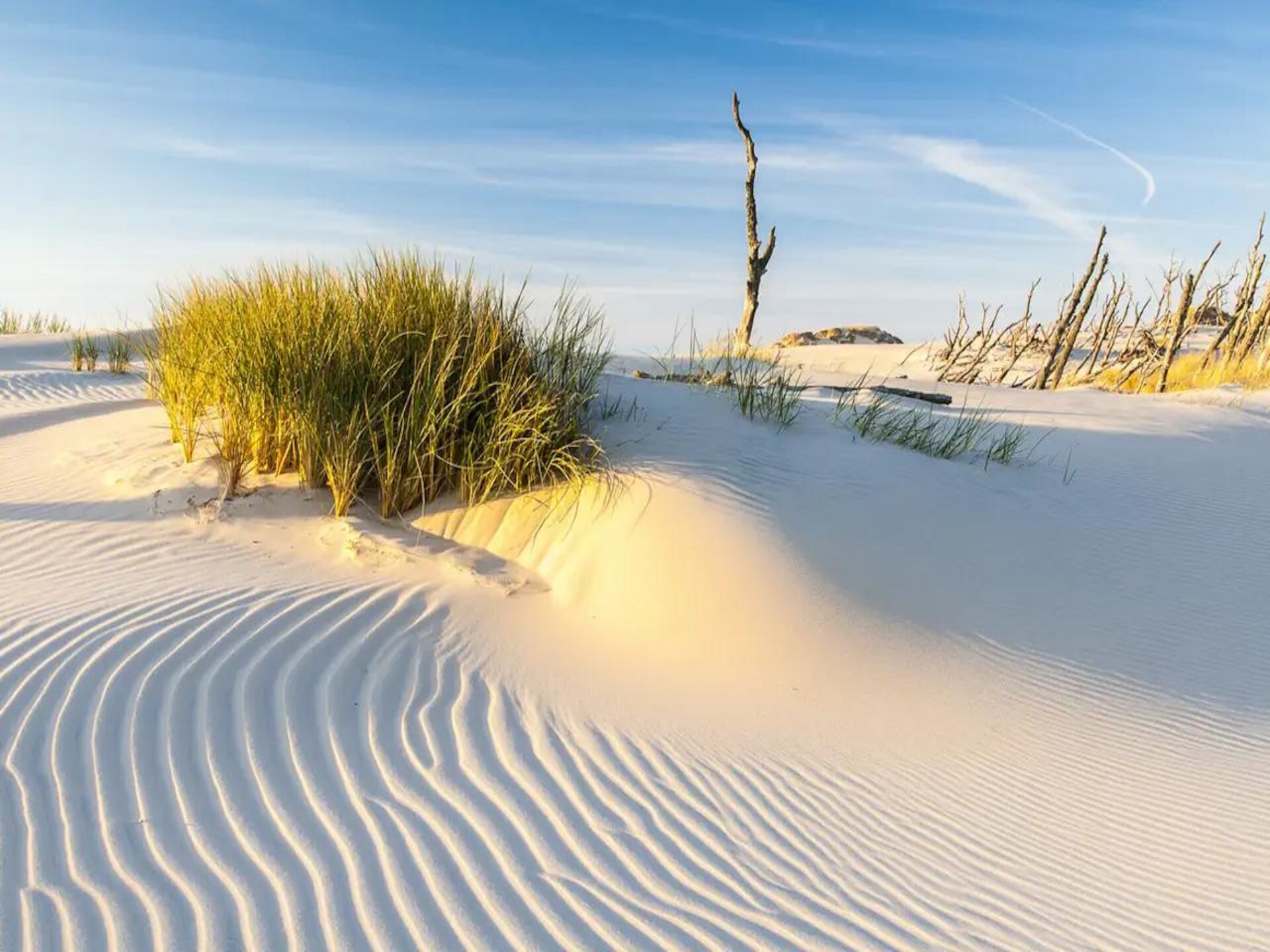 Op 1,0 km van zee: Ruim vakantiehuis voor 7 personen in Rowy - foto 26