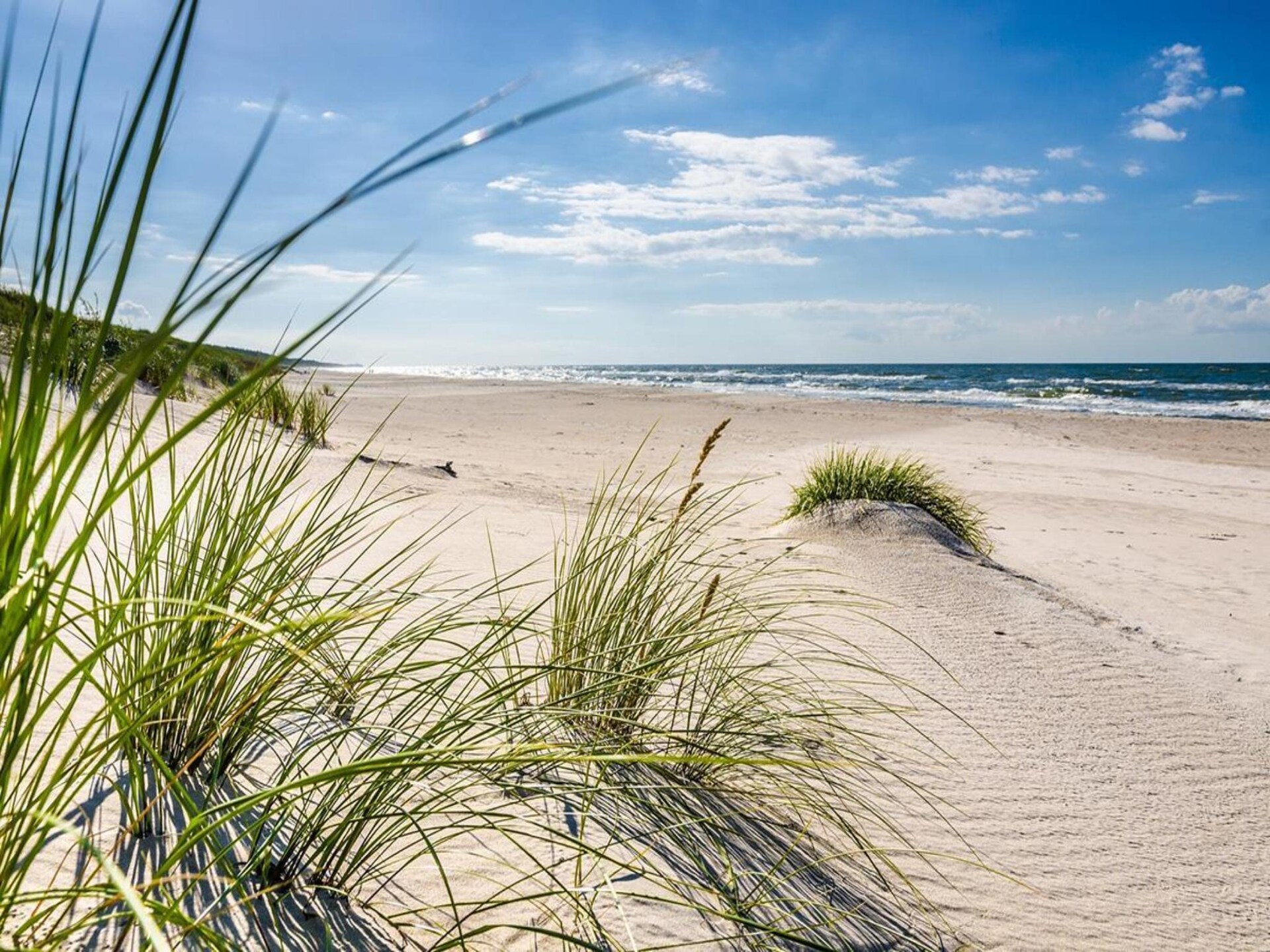 Op 1,0 km van zee: Ruim vakantiehuis voor 7 personen in Rowy - foto 36