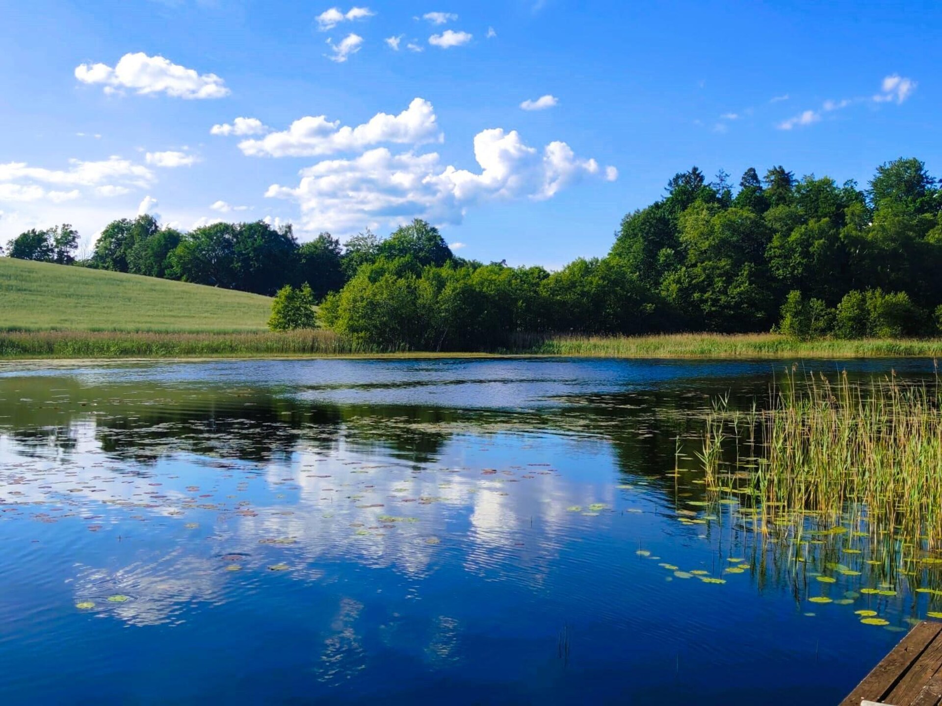 Ruim vakantiehuis voor 10 aan een privémeer in Rekowo, Kasjoebië - foto 37